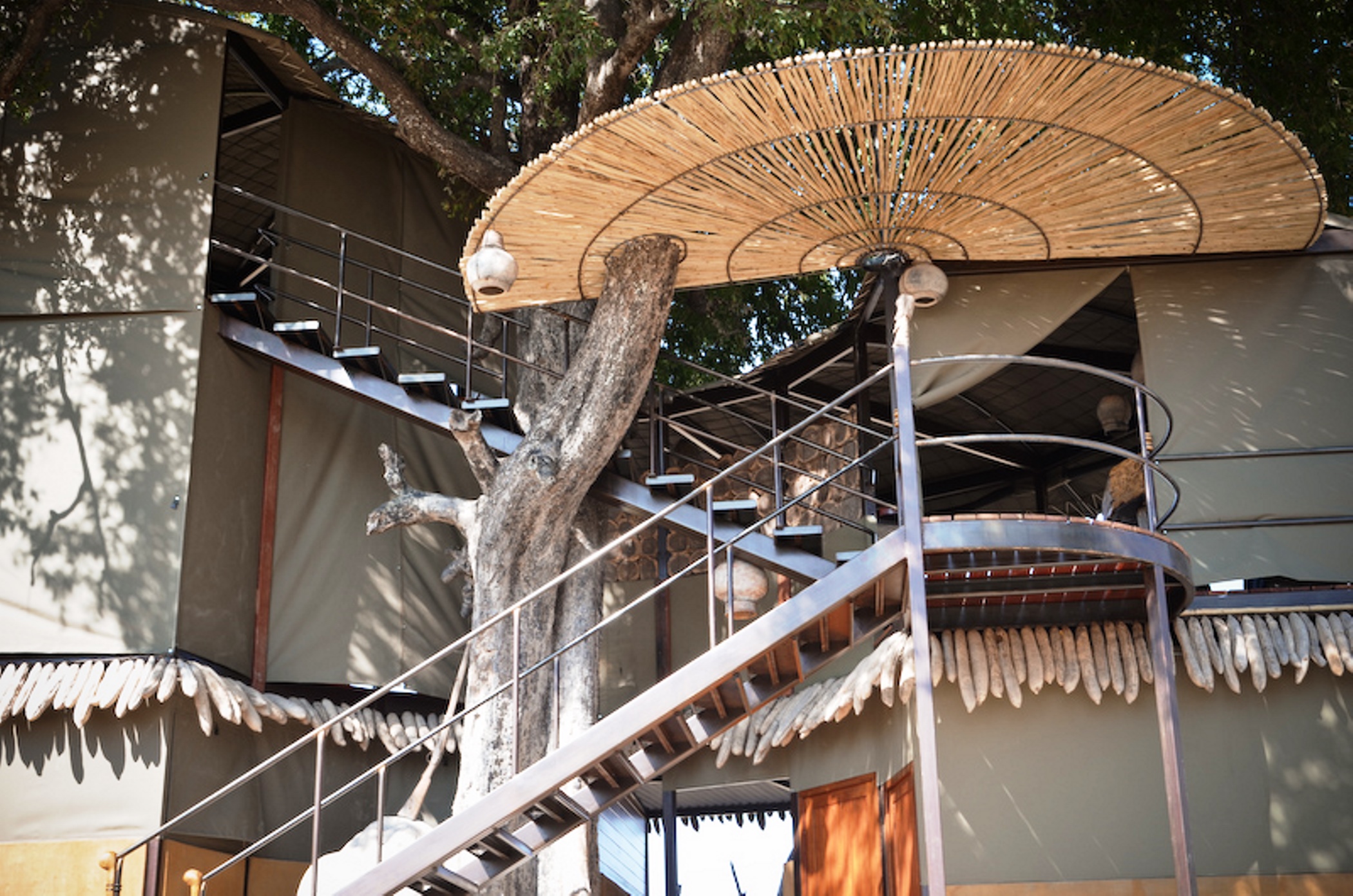 Jackalberry Tented Camp