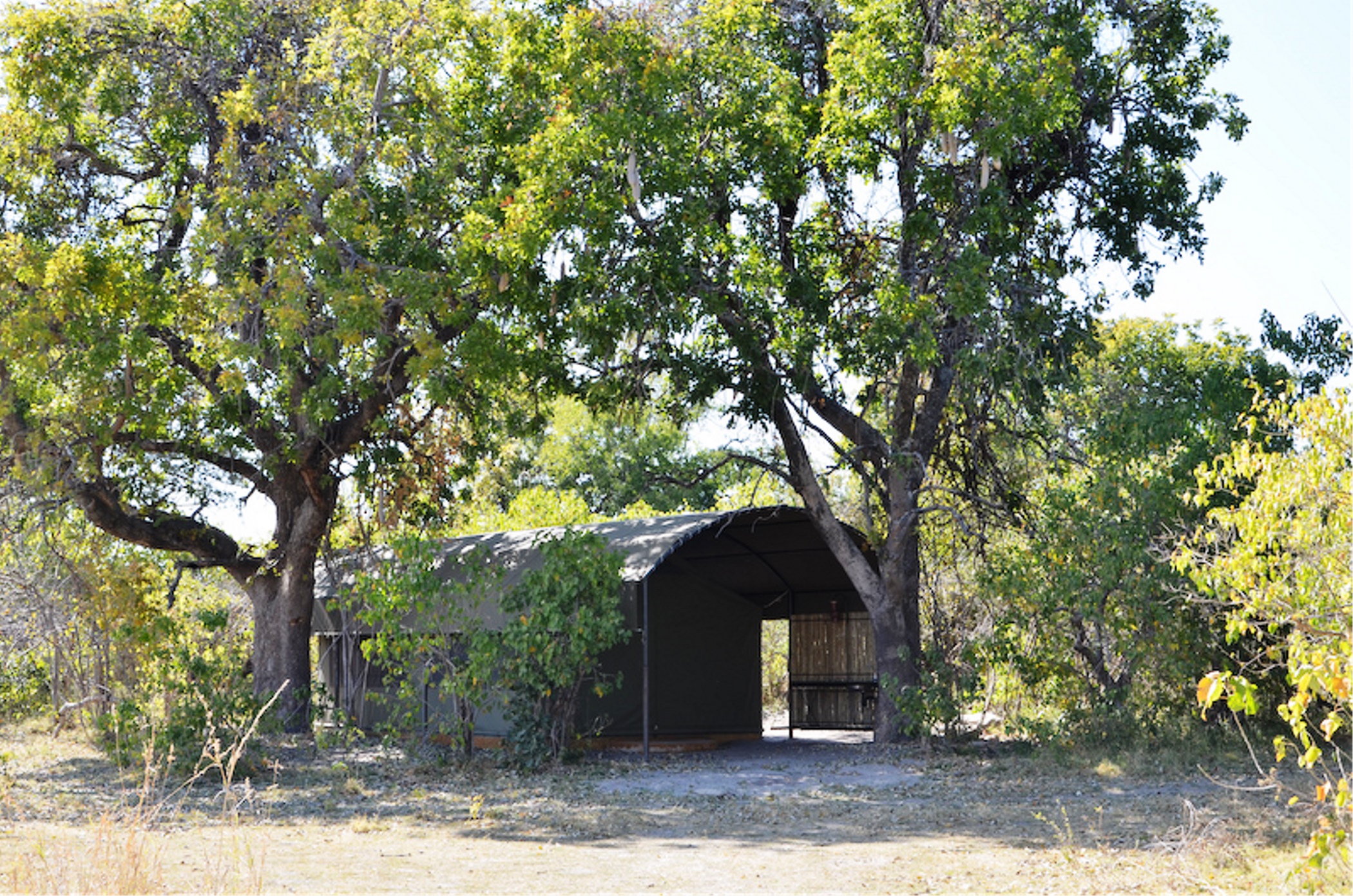 Jackalberry Tented Camp by null