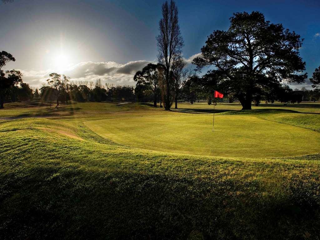 Mercure Orange by null