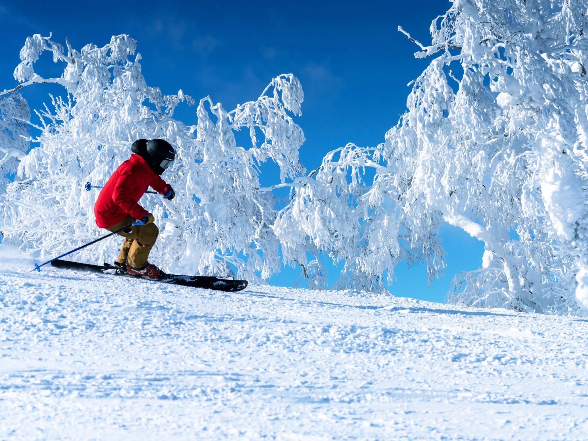 Rusutsu Resort Hotel & Convention by null