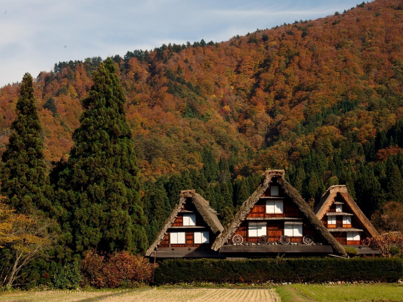 Toyota Shirakawa-Go Eco-Institute by null