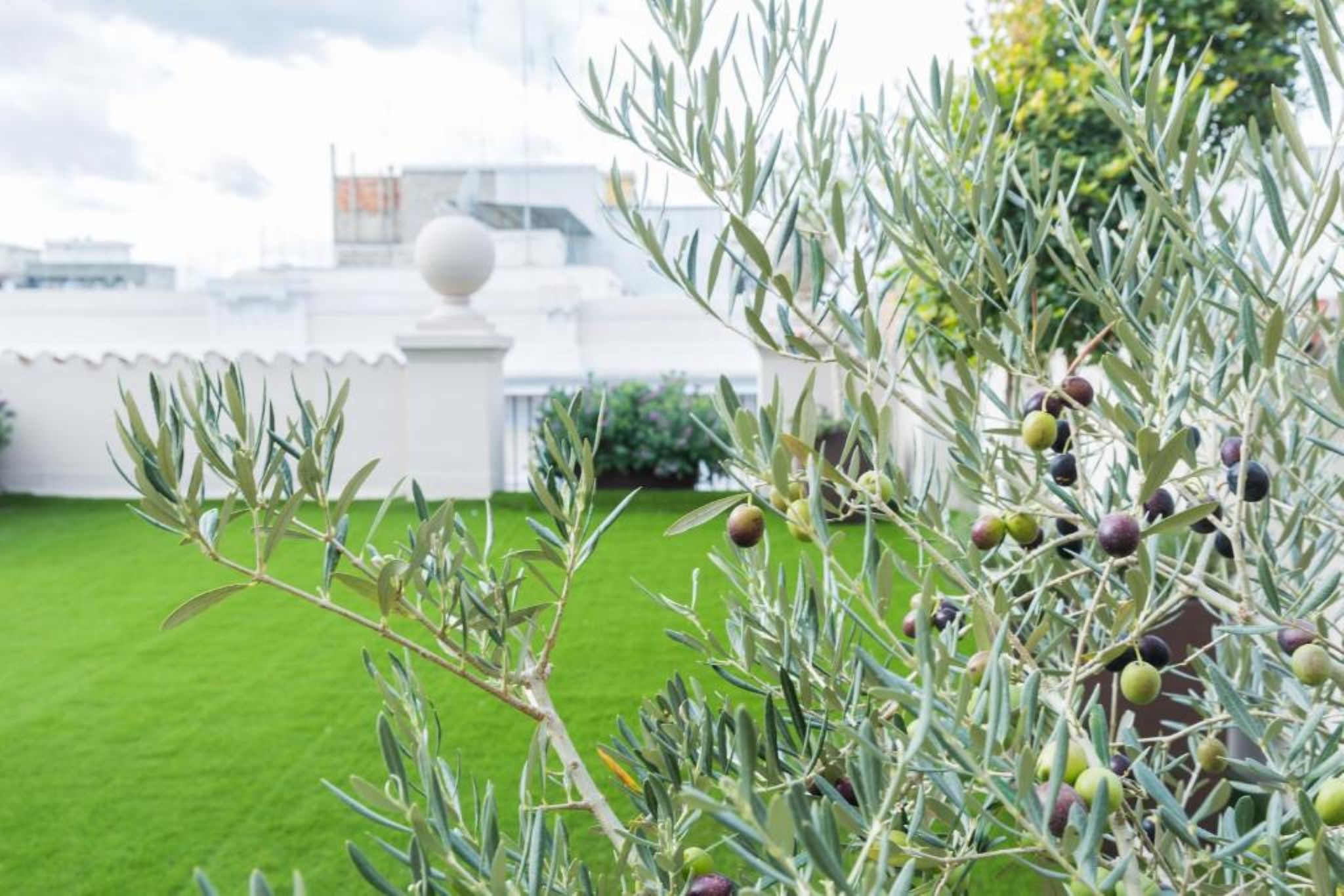 200 Rooms & Terrace by null