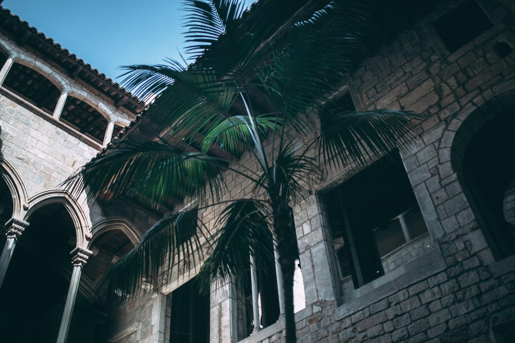 EDITION Barcelona - фото