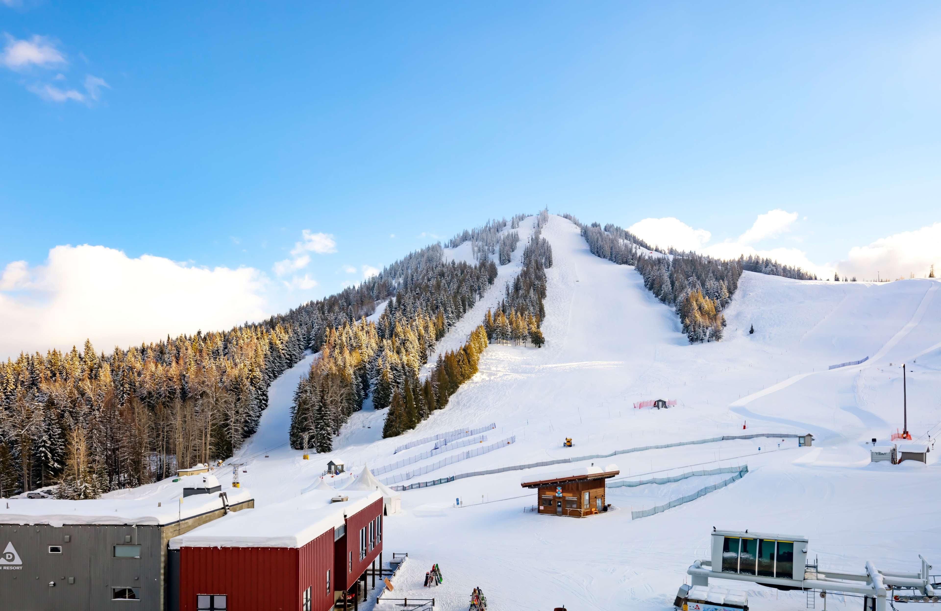 The Josie Hotel, Autograph Collection by null