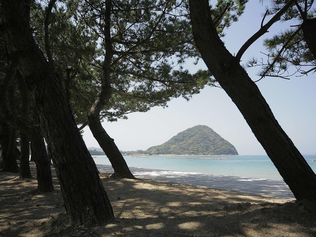 Hagi Royal Intelligent Hotel by null