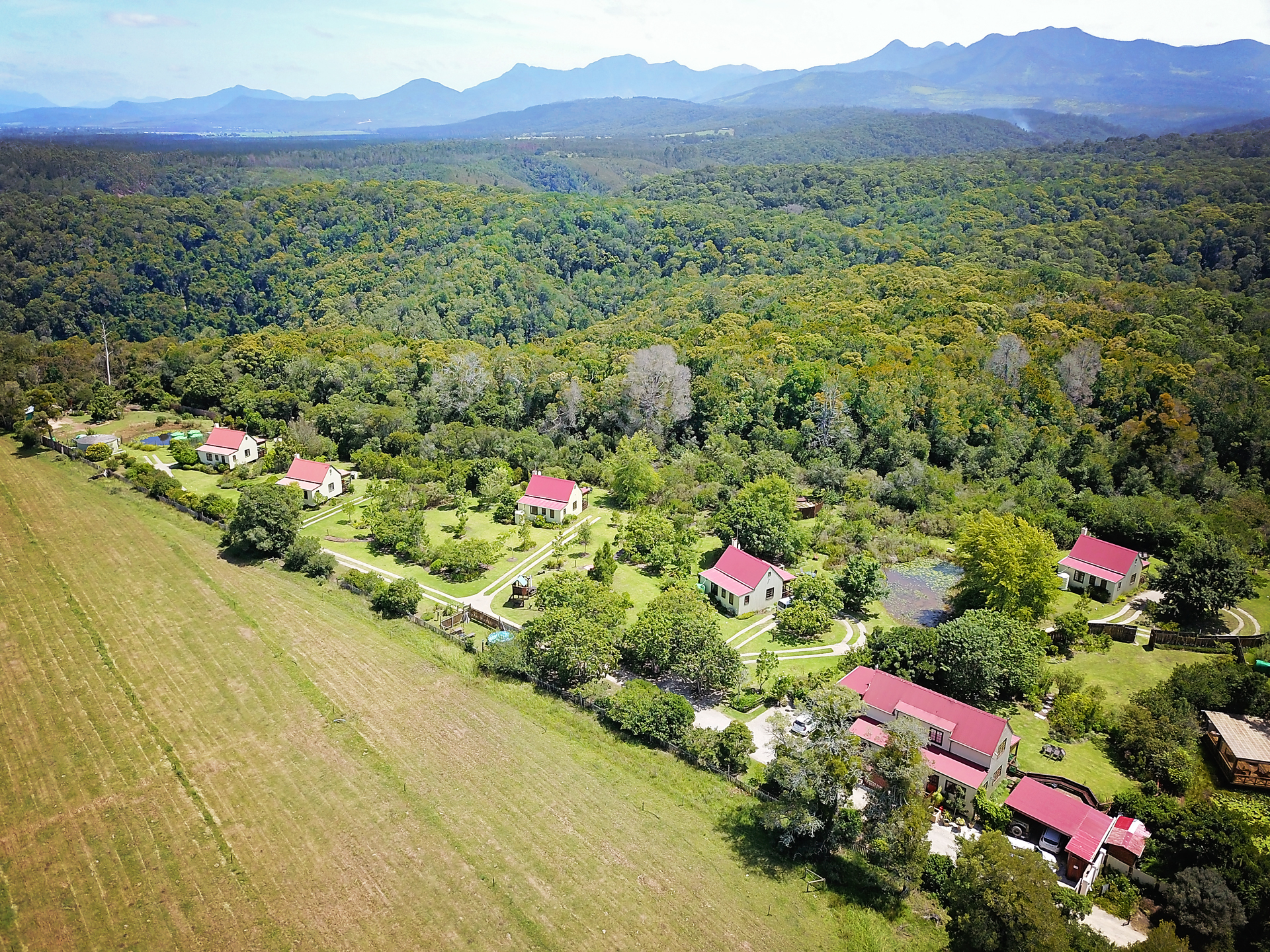 Forest Edge Nature Lovers' Retreat