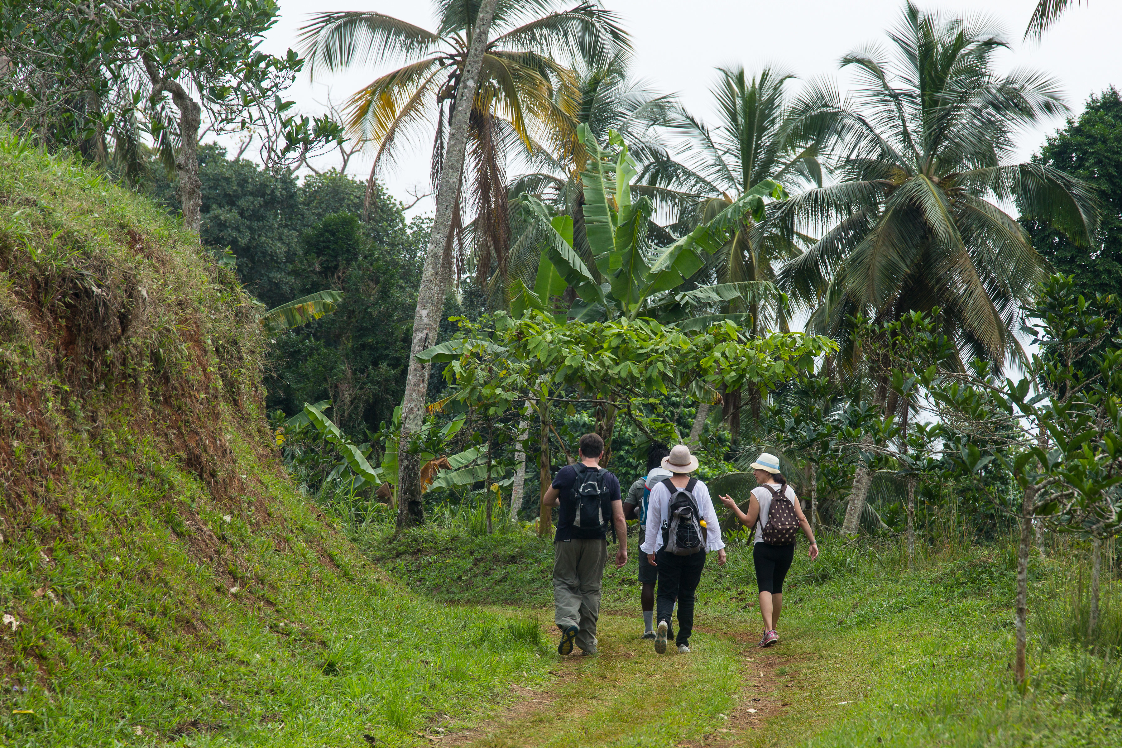 Sundy Praia – Príncipe Collection by null