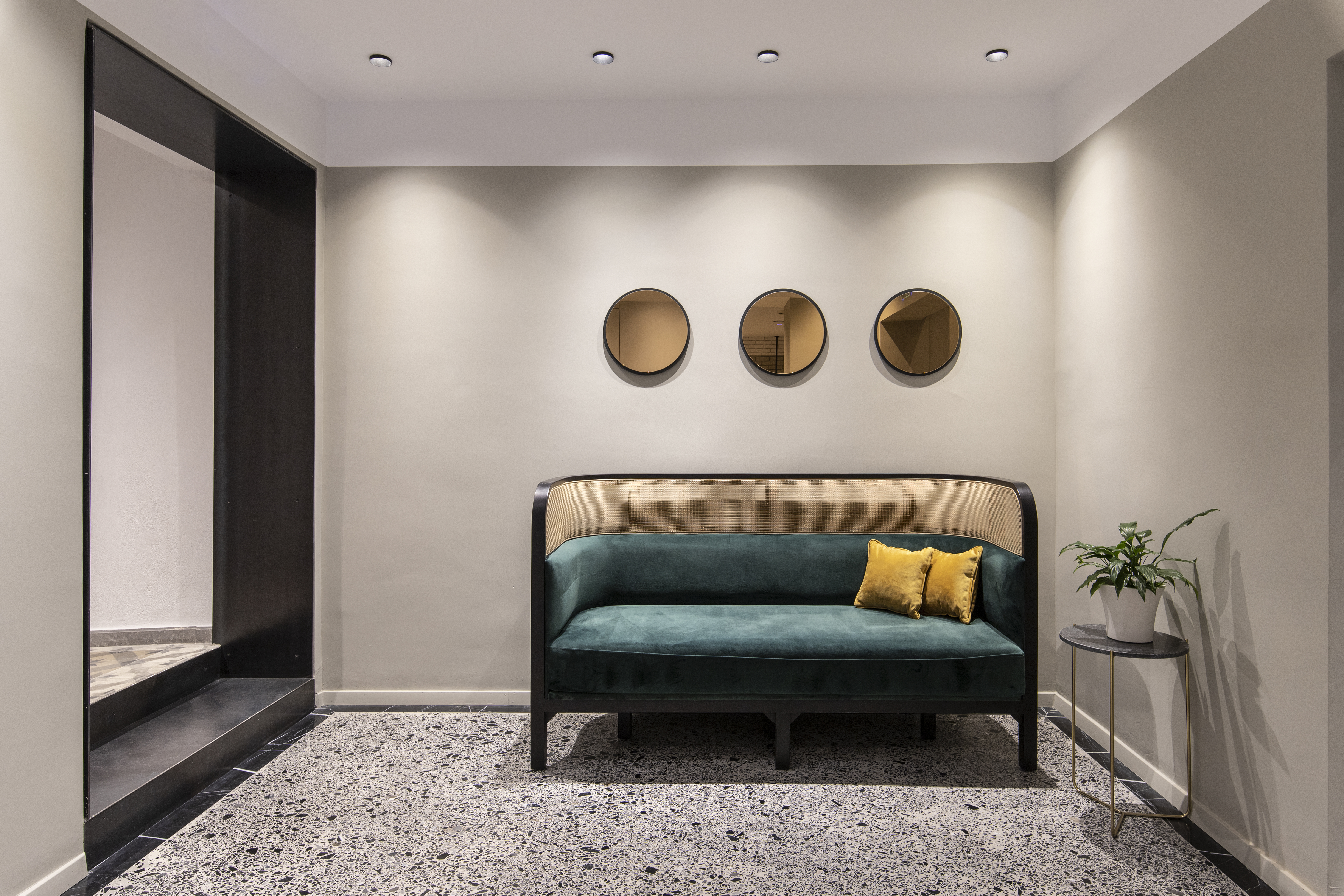 The Modernist - photo