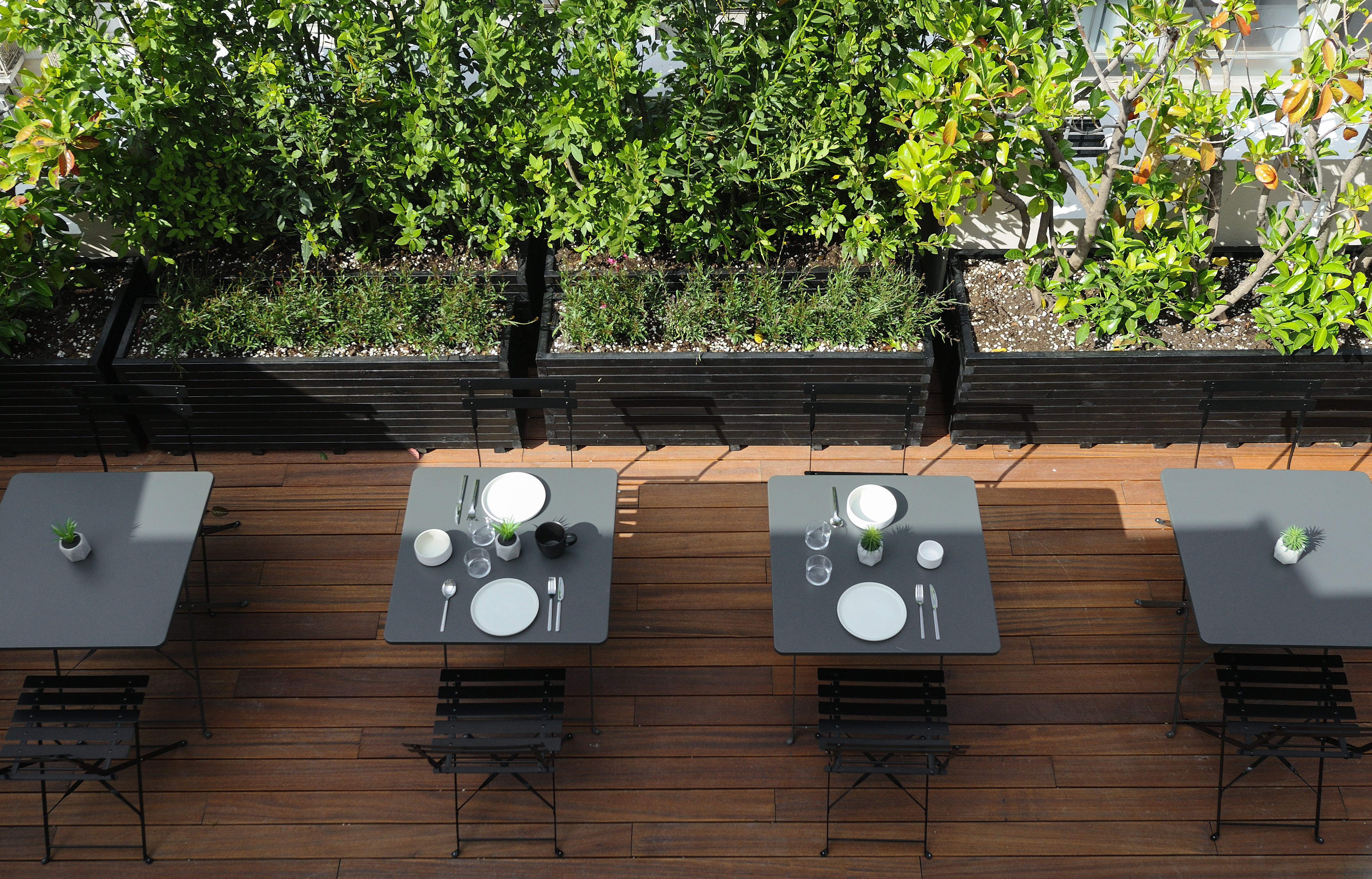 The Modernist - photo