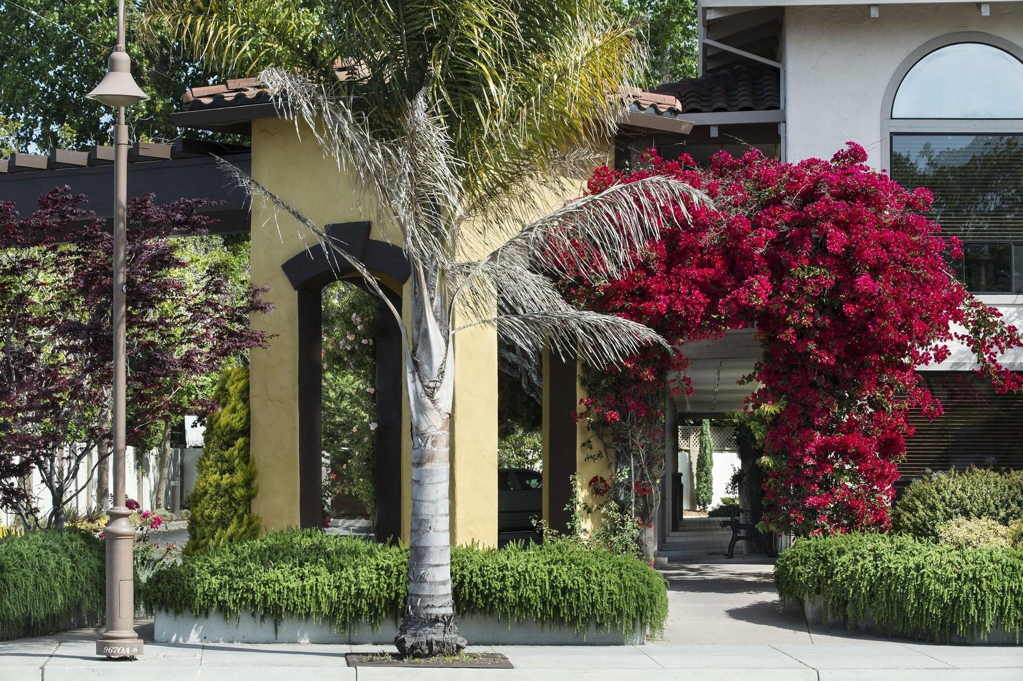 Mission Inn & Suites by null