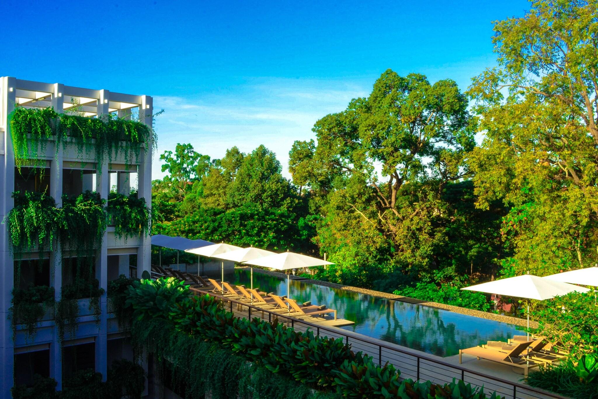 Treeline Urban Resort by null
