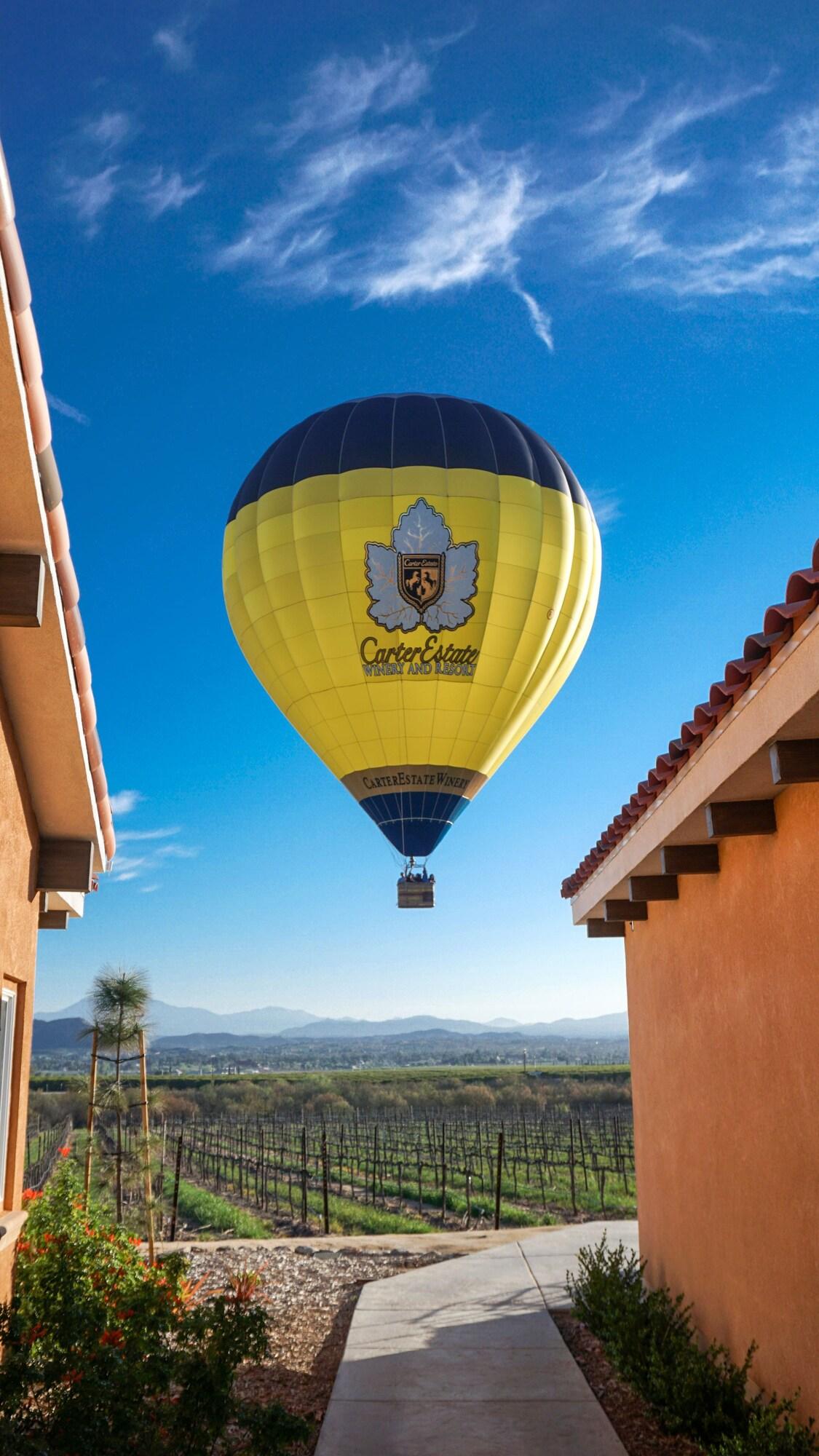 Carter Estate Winery and Resort by null