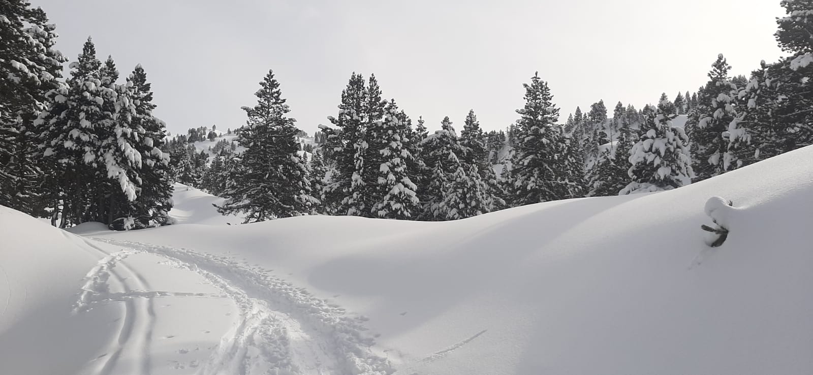 Snö Apartamentos Mont Romies Unhola