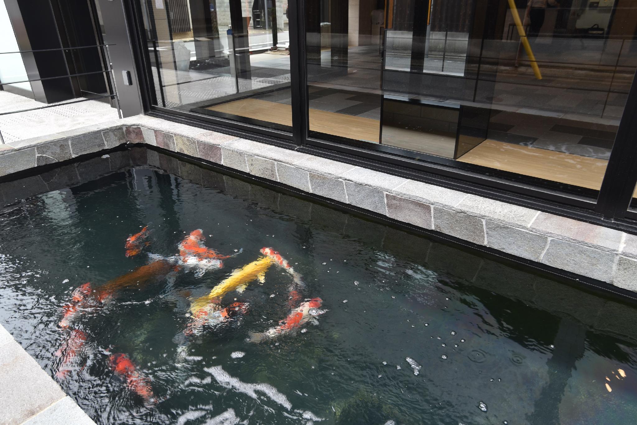 Hotel Glad One Kyoto Shichijo