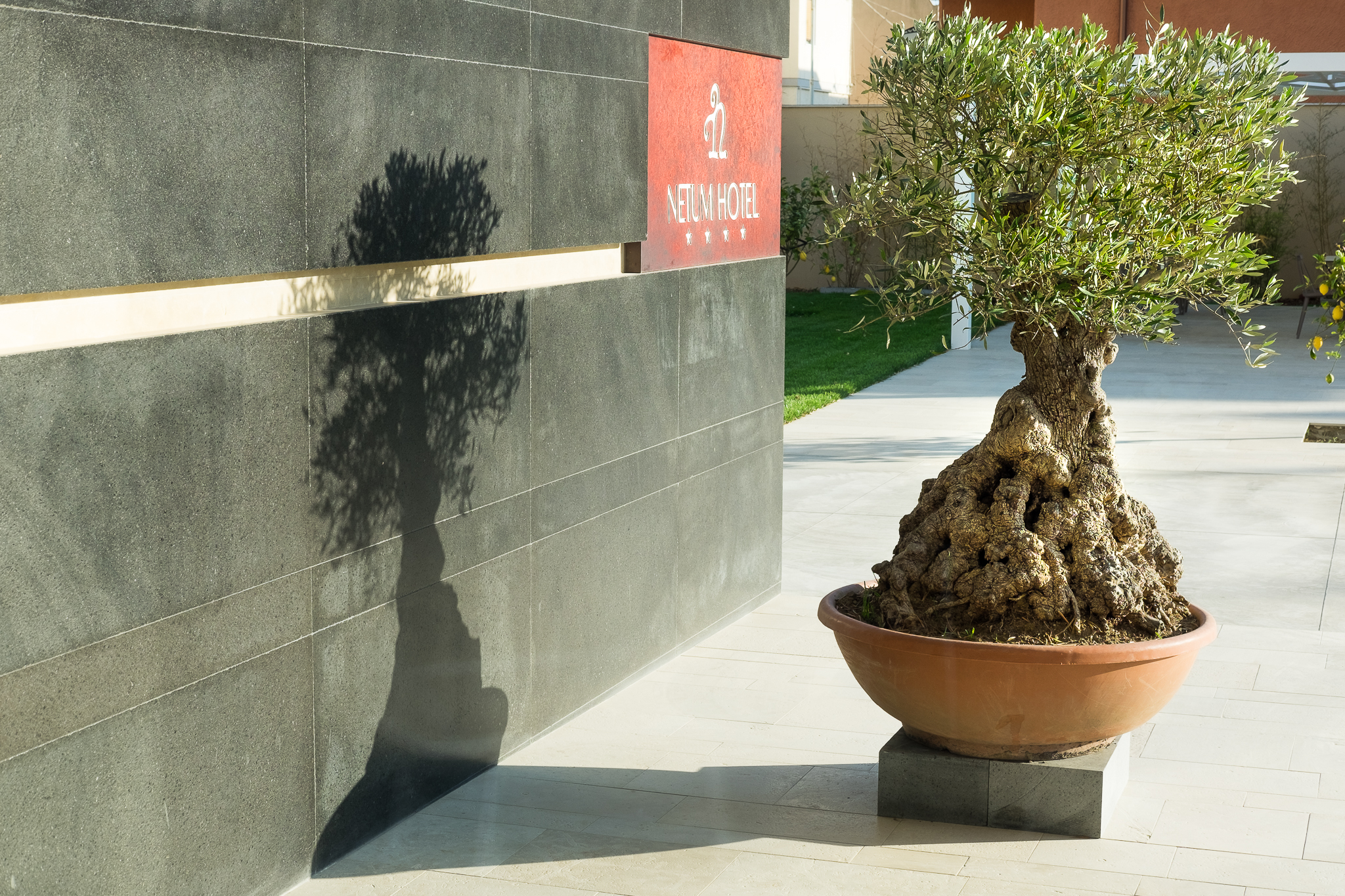 Hotel Netum Noto by null