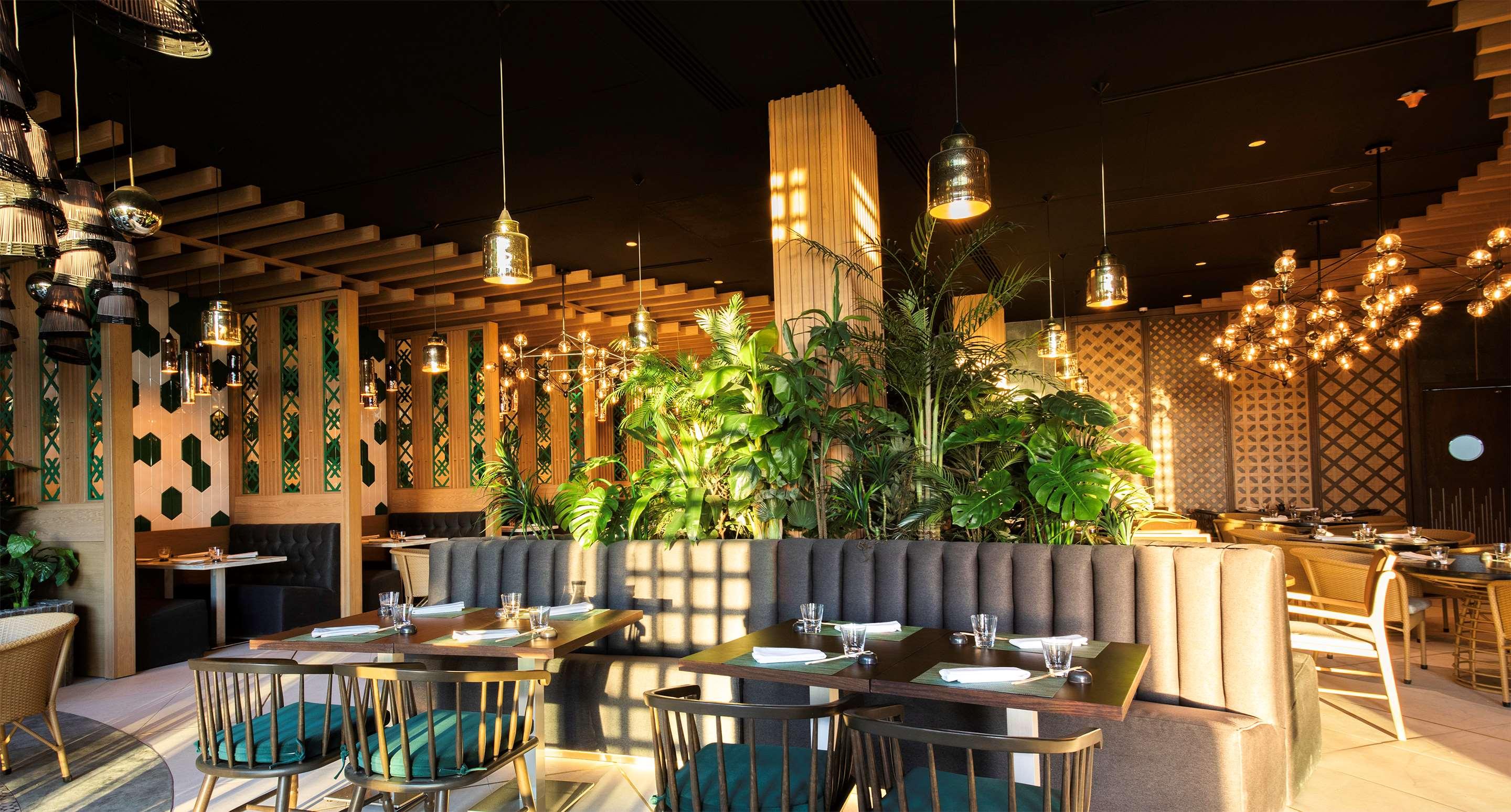 Palmaïa - The House of AïA by null Palmaïa - The House of AïA by null