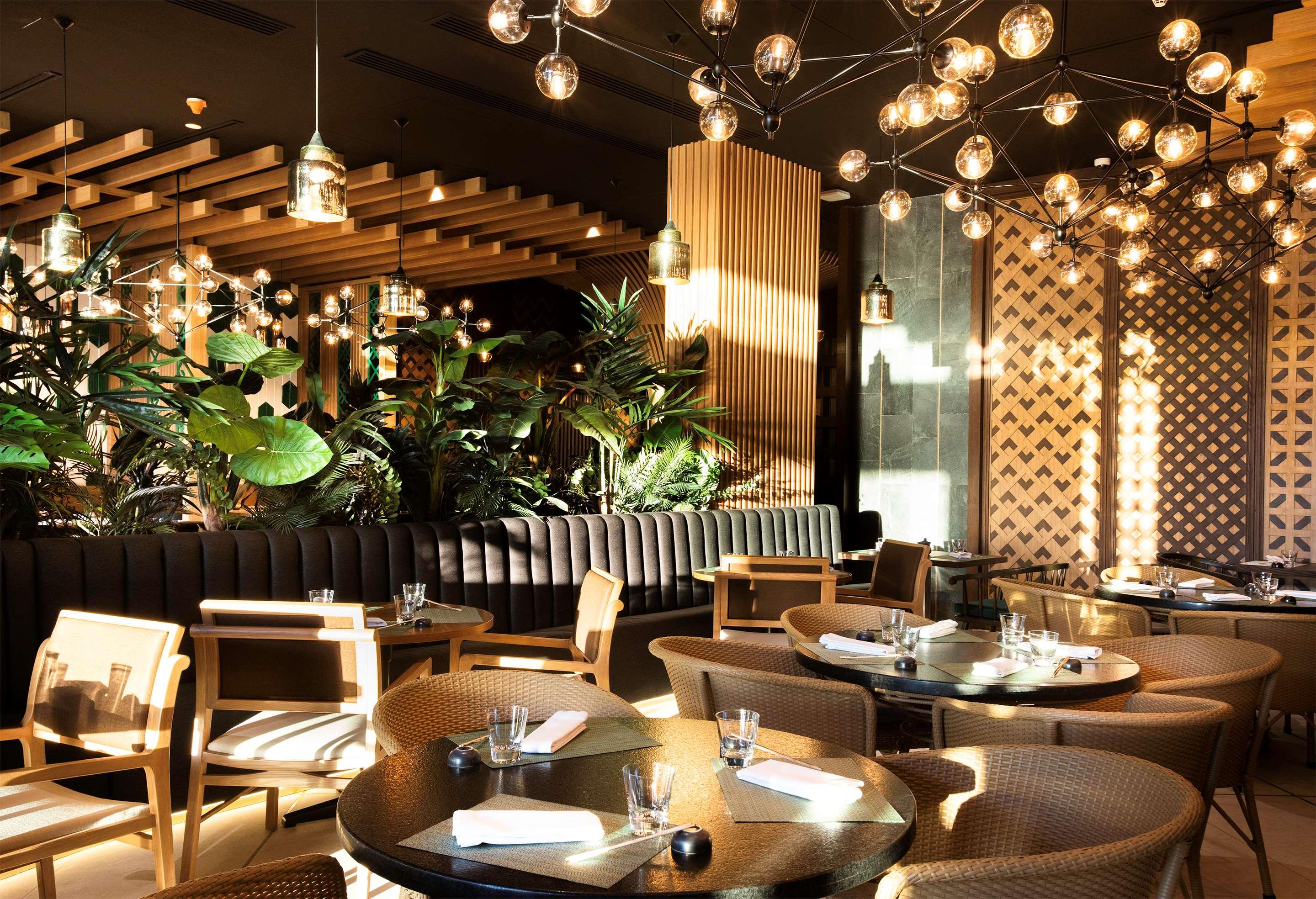 Palmaïa - The House of AïA by null