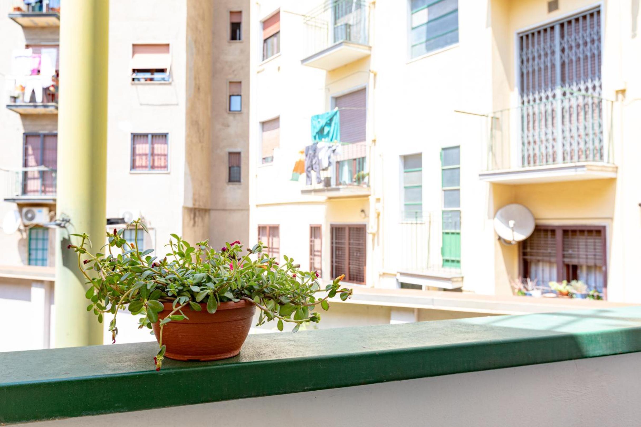 B&B Too Cute 2b Str8 - photo