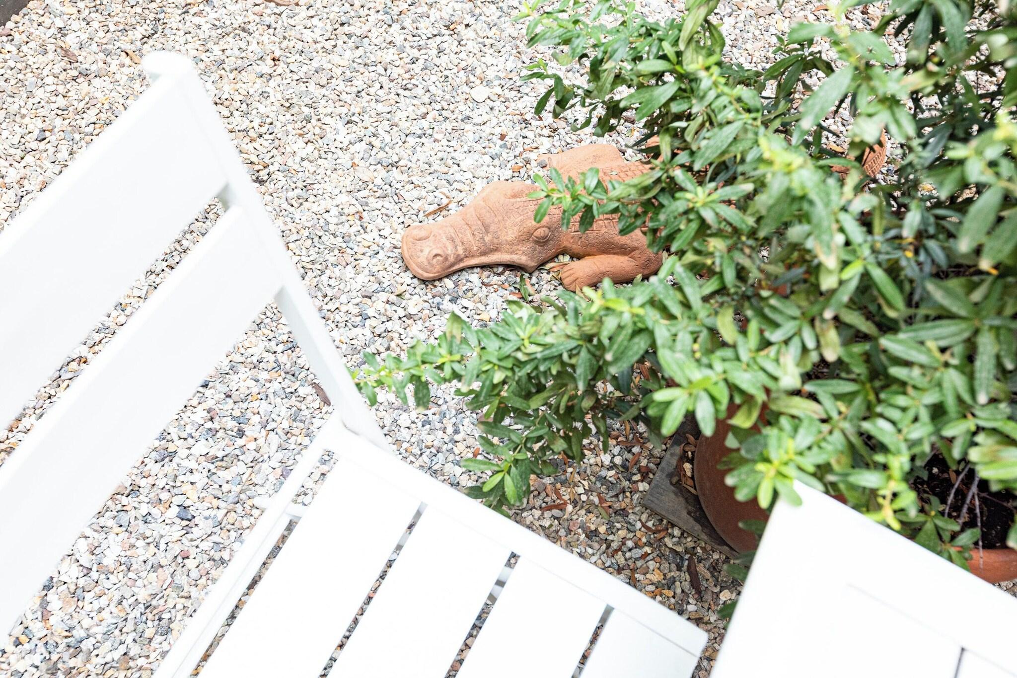 B&B Too Cute 2b Str8 - photo