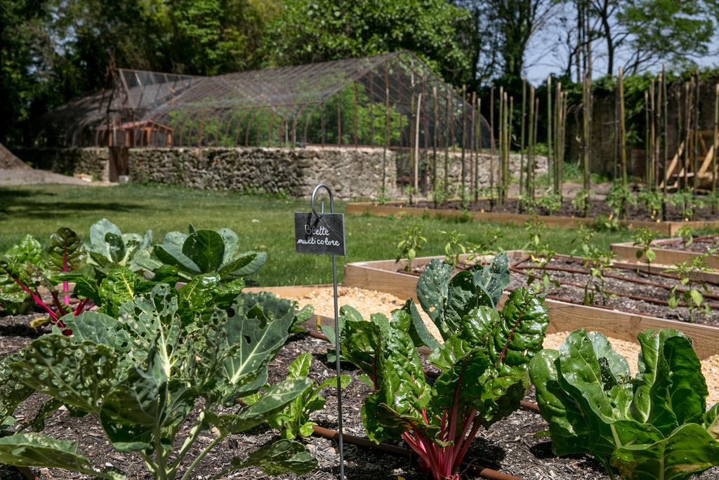 Château de Massillan by null