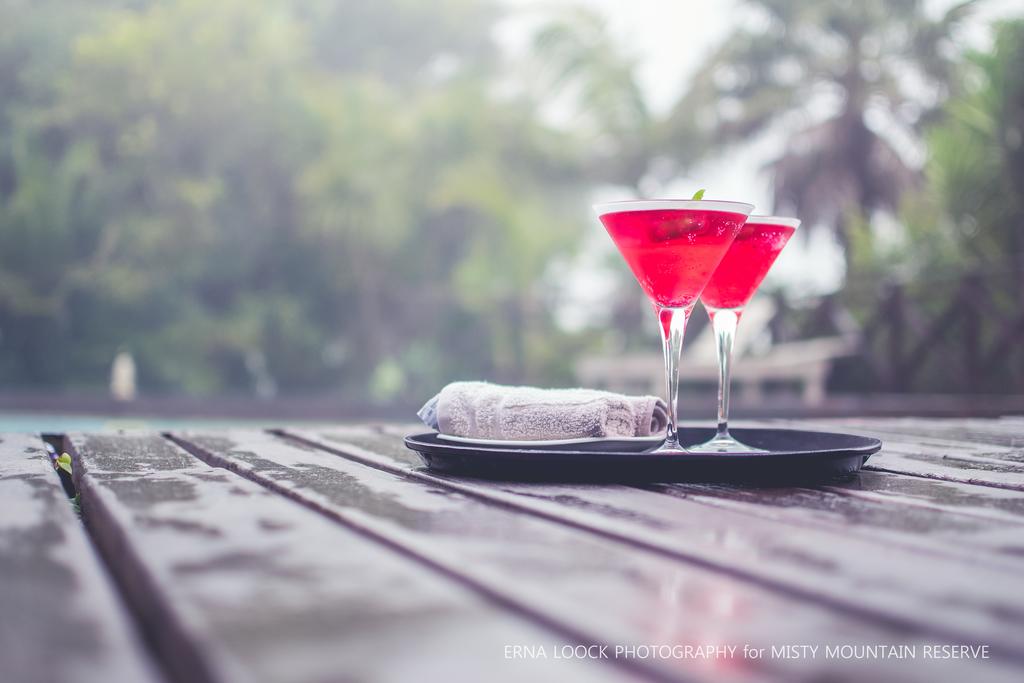 Misty Mountain Reserve Lodge and Self Catering Chalets by null