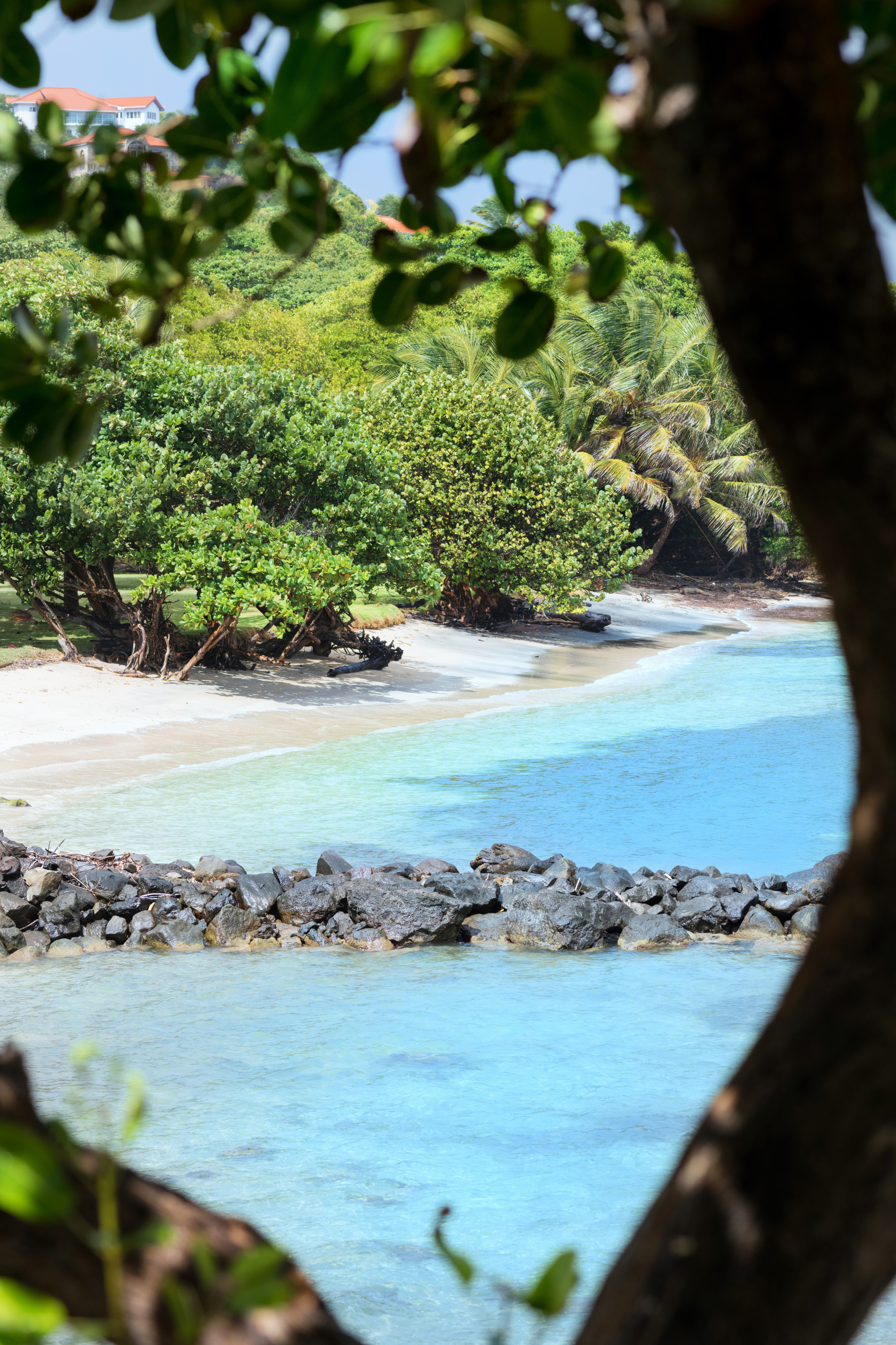 473 Grenada Boutique Resort by null