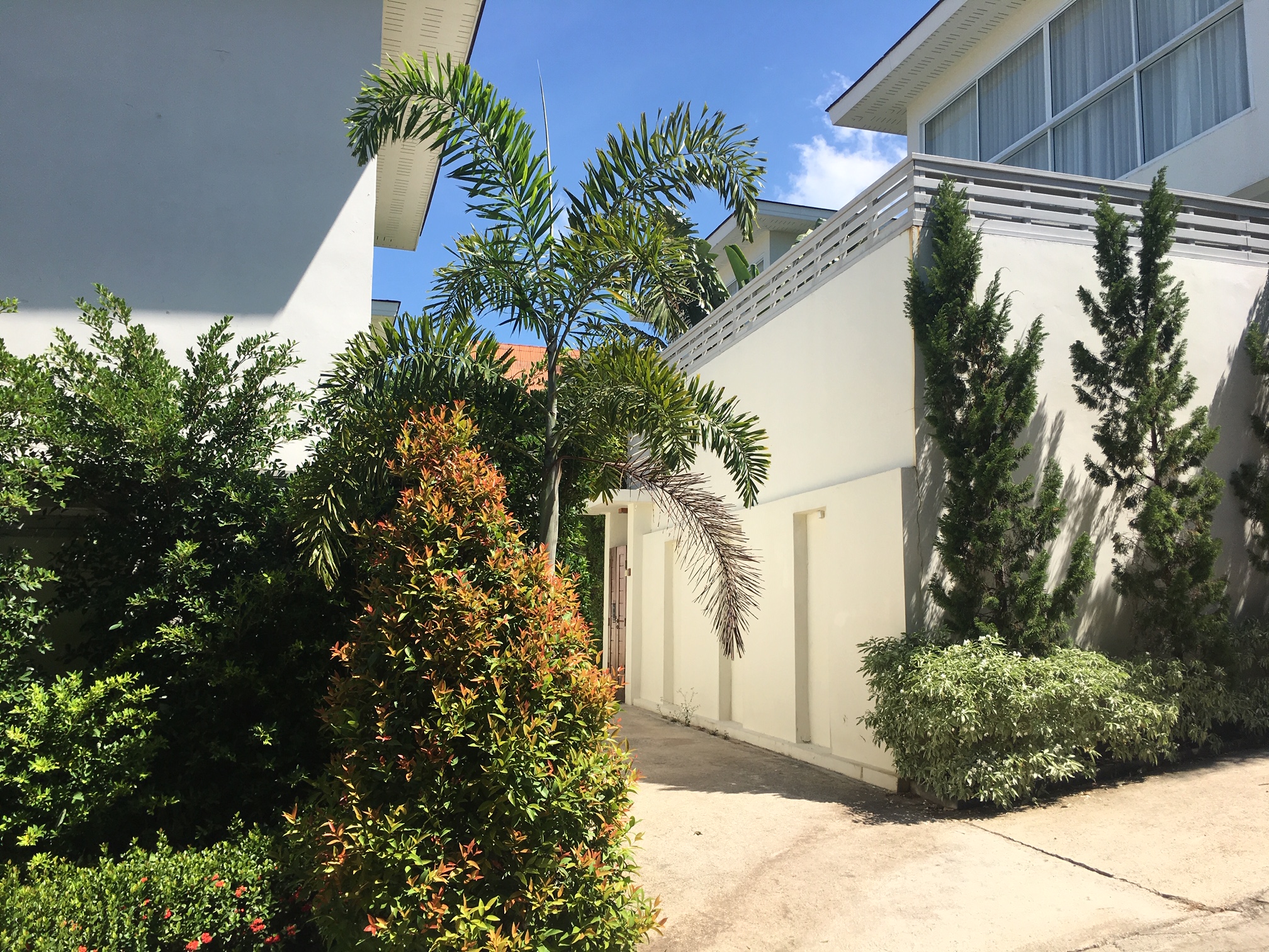 Samui Blue Orchid - Adult Only