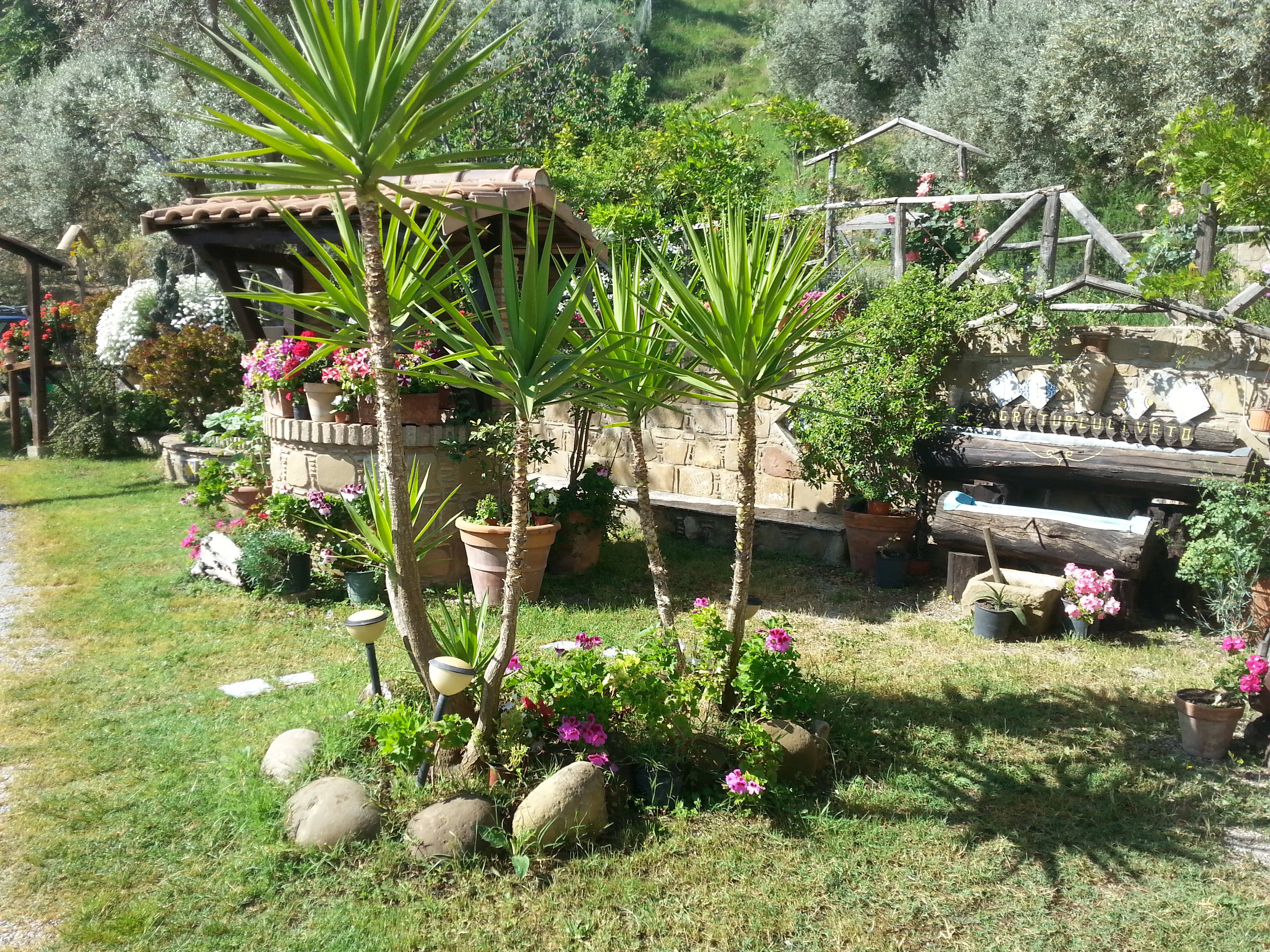 Agriturismo L'Uliveto by null