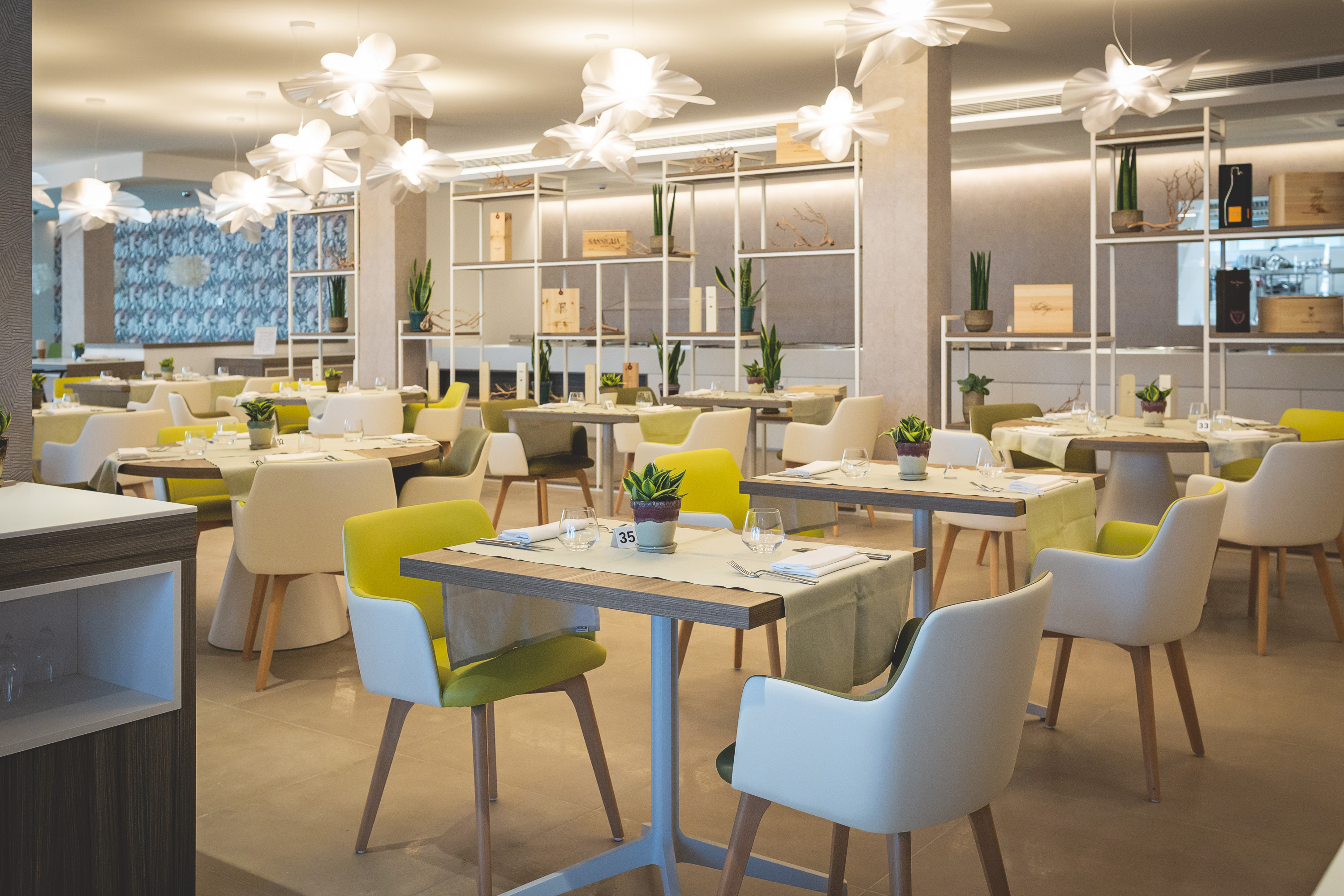 The Sense Experience Resort by null
