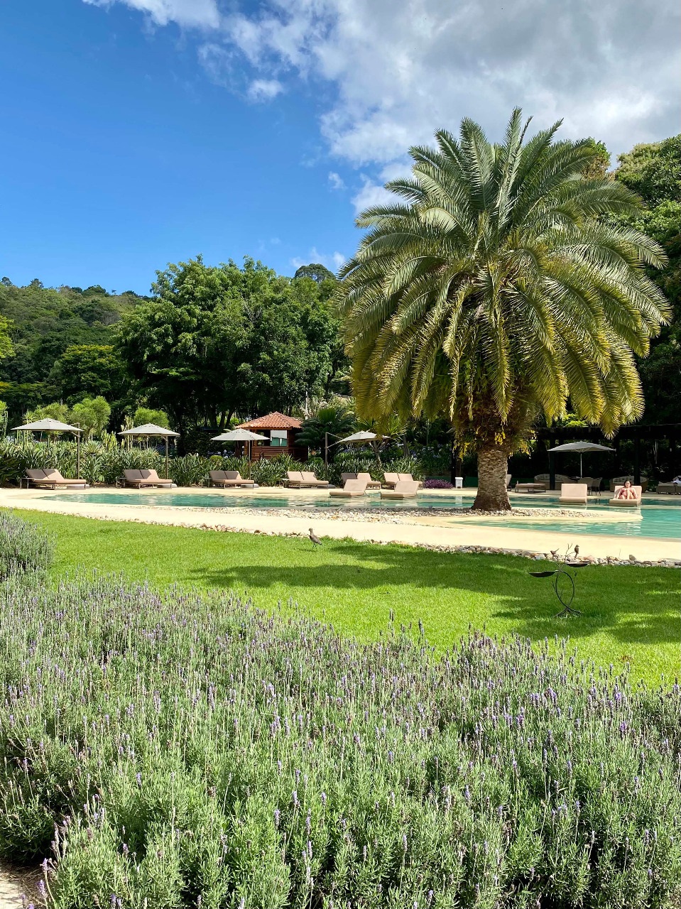 Unique Garden Hotel & Spa by null