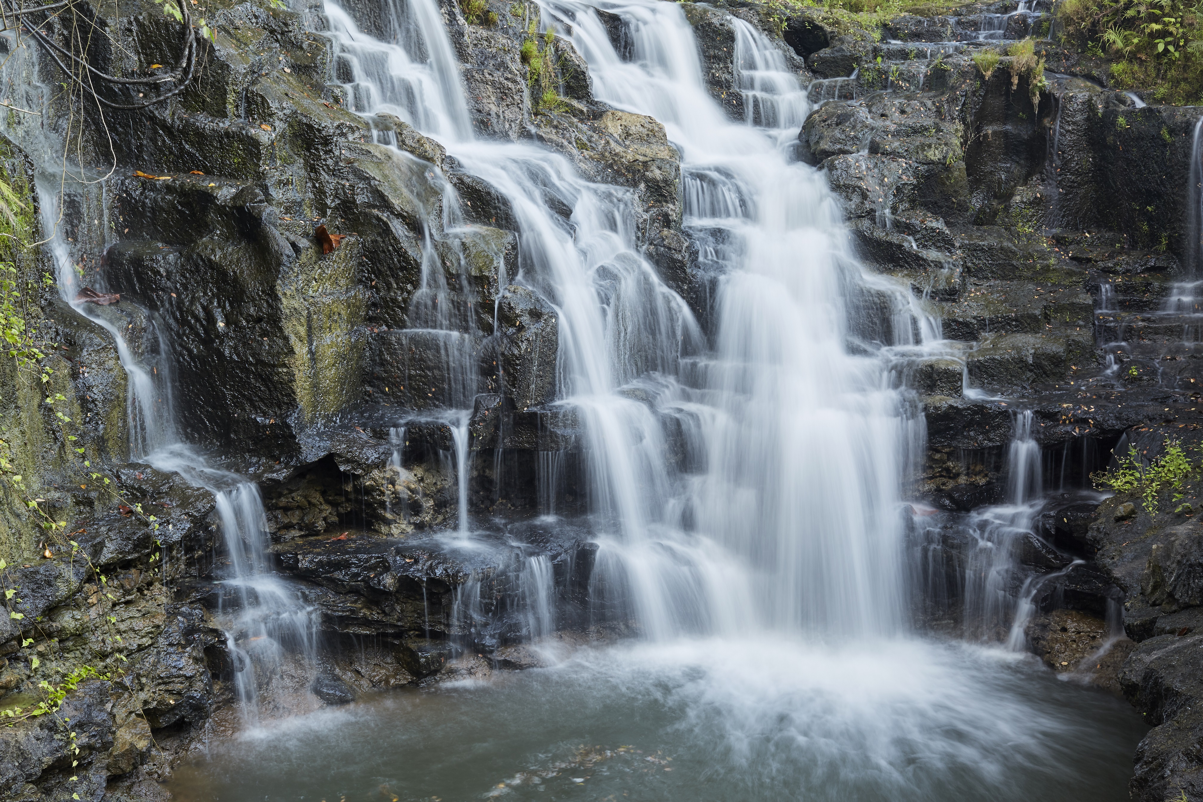 Nirjhara by null Nirjhara by null