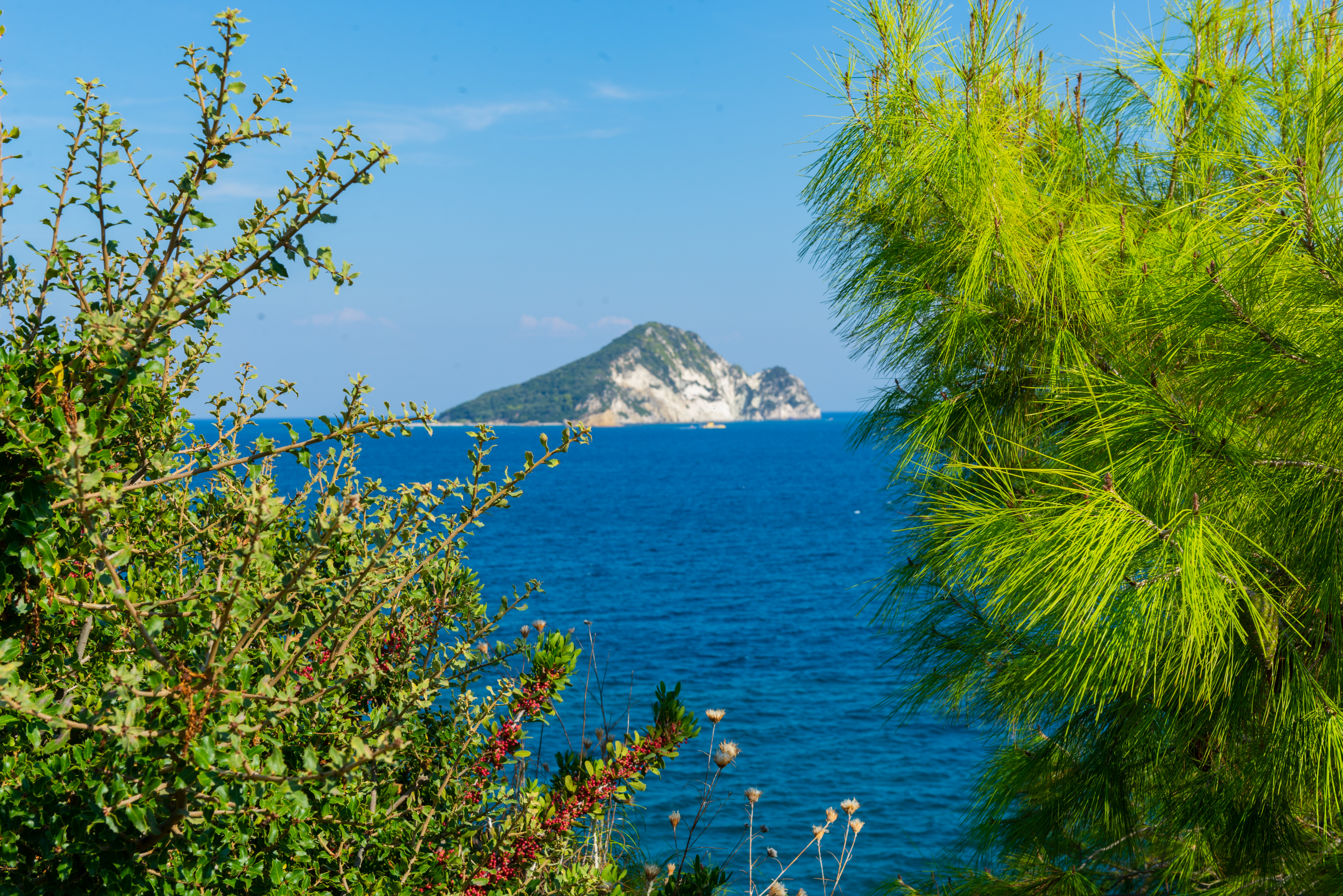 Harmony Hotel - фото