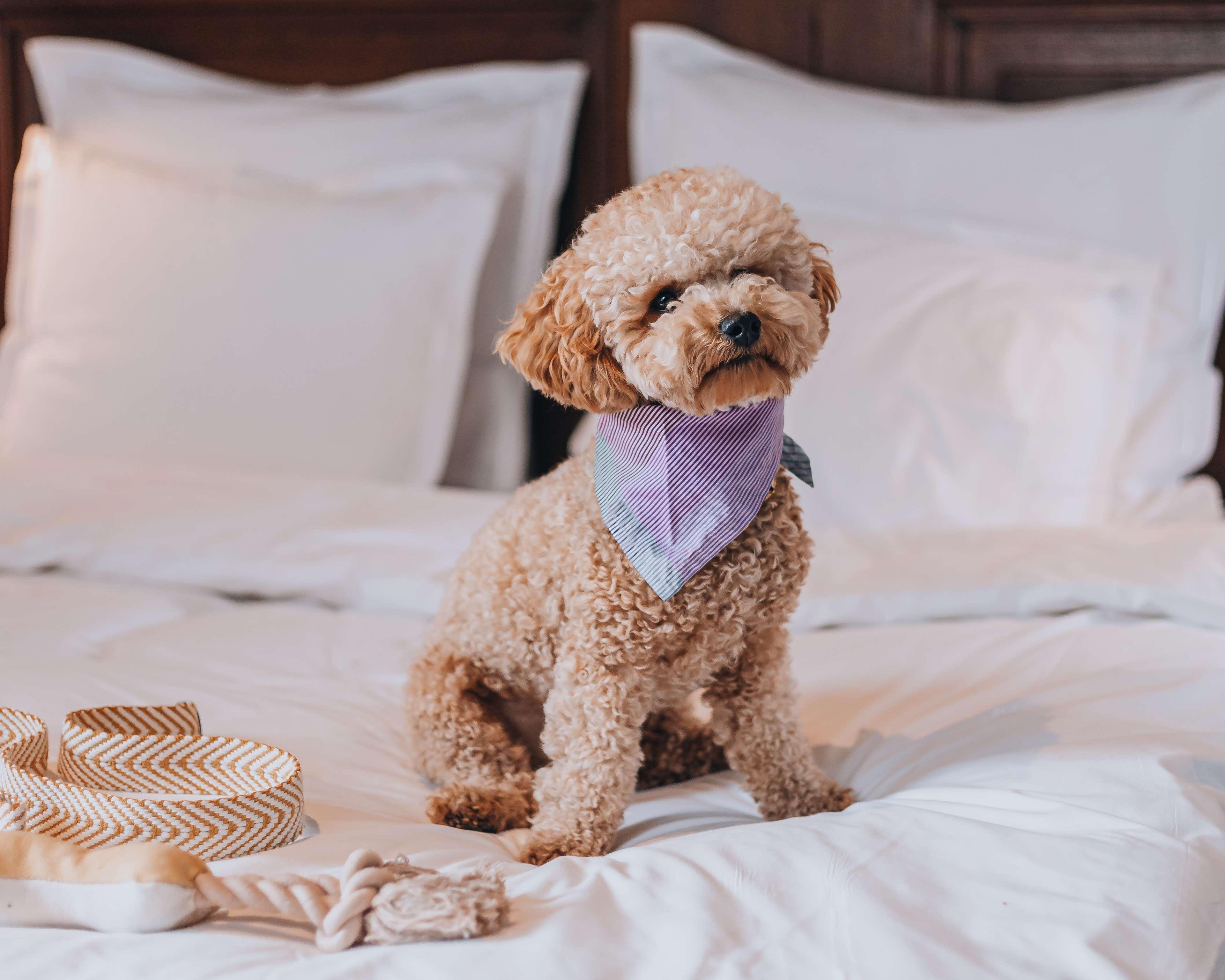 Story Hotel Stockholm North - JDV by Hyatt by null