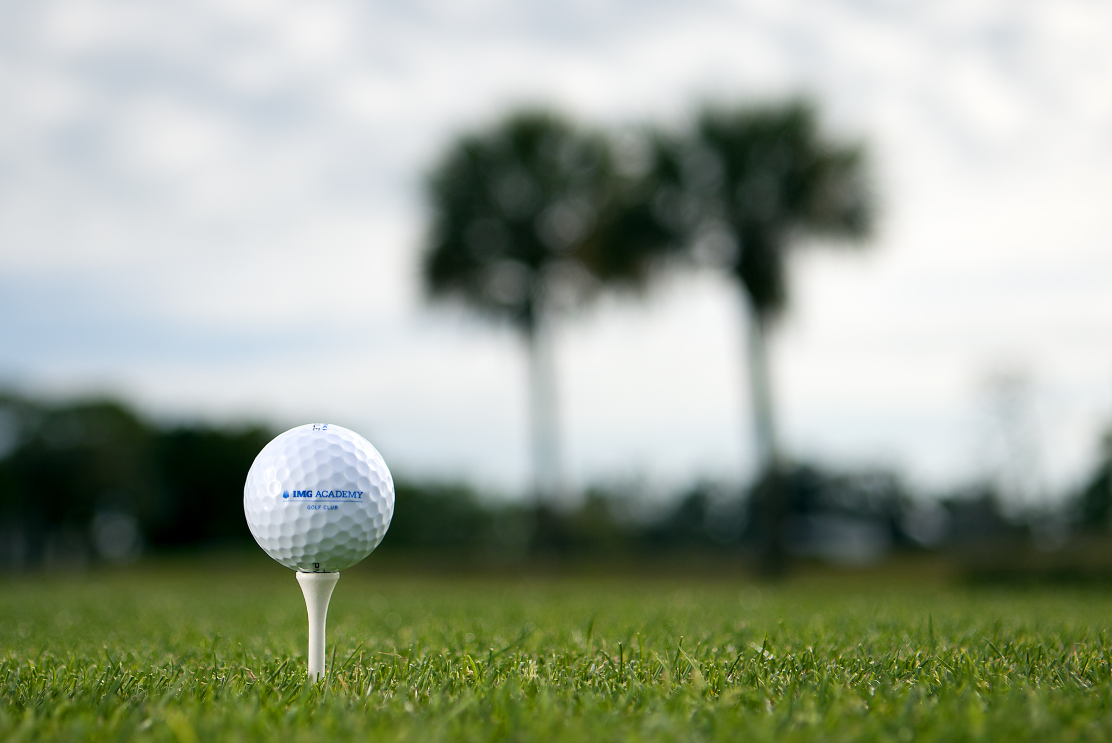 Legacy Hotel at IMG Academy by null