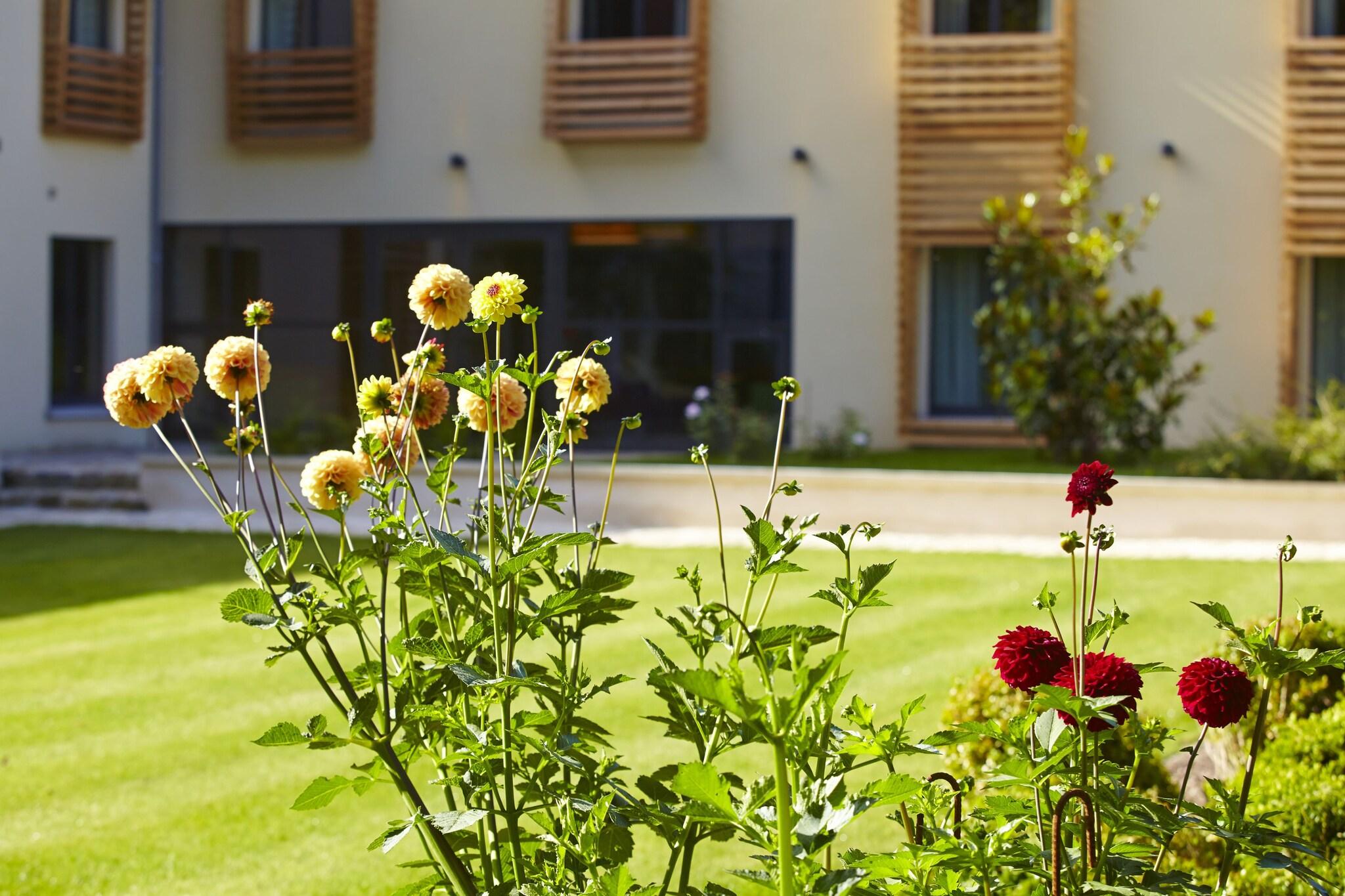 Les Herbes Folles by null