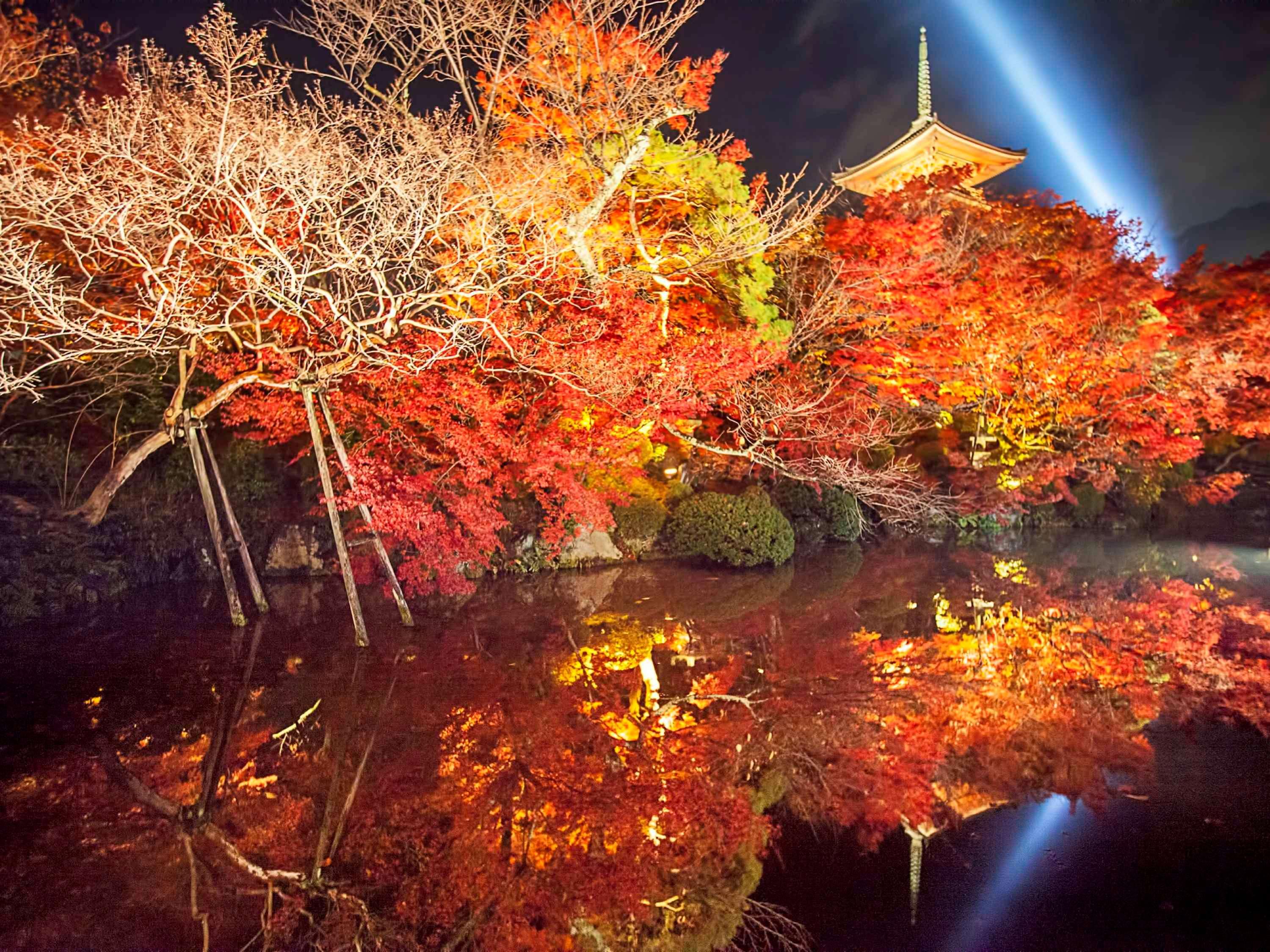 Dhawa Yura Kyoto by null