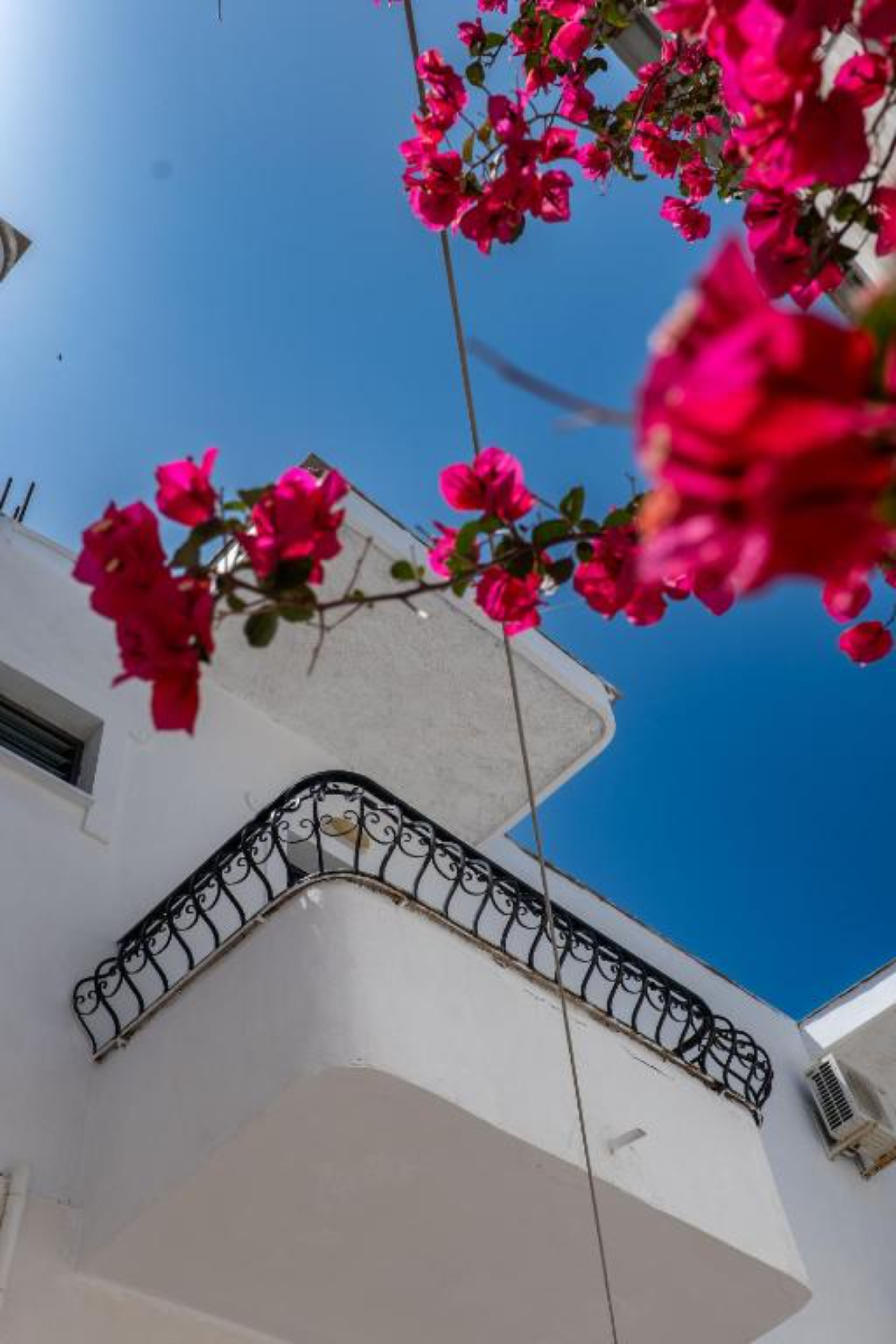 Summer Suite Hotel - nuotrauka