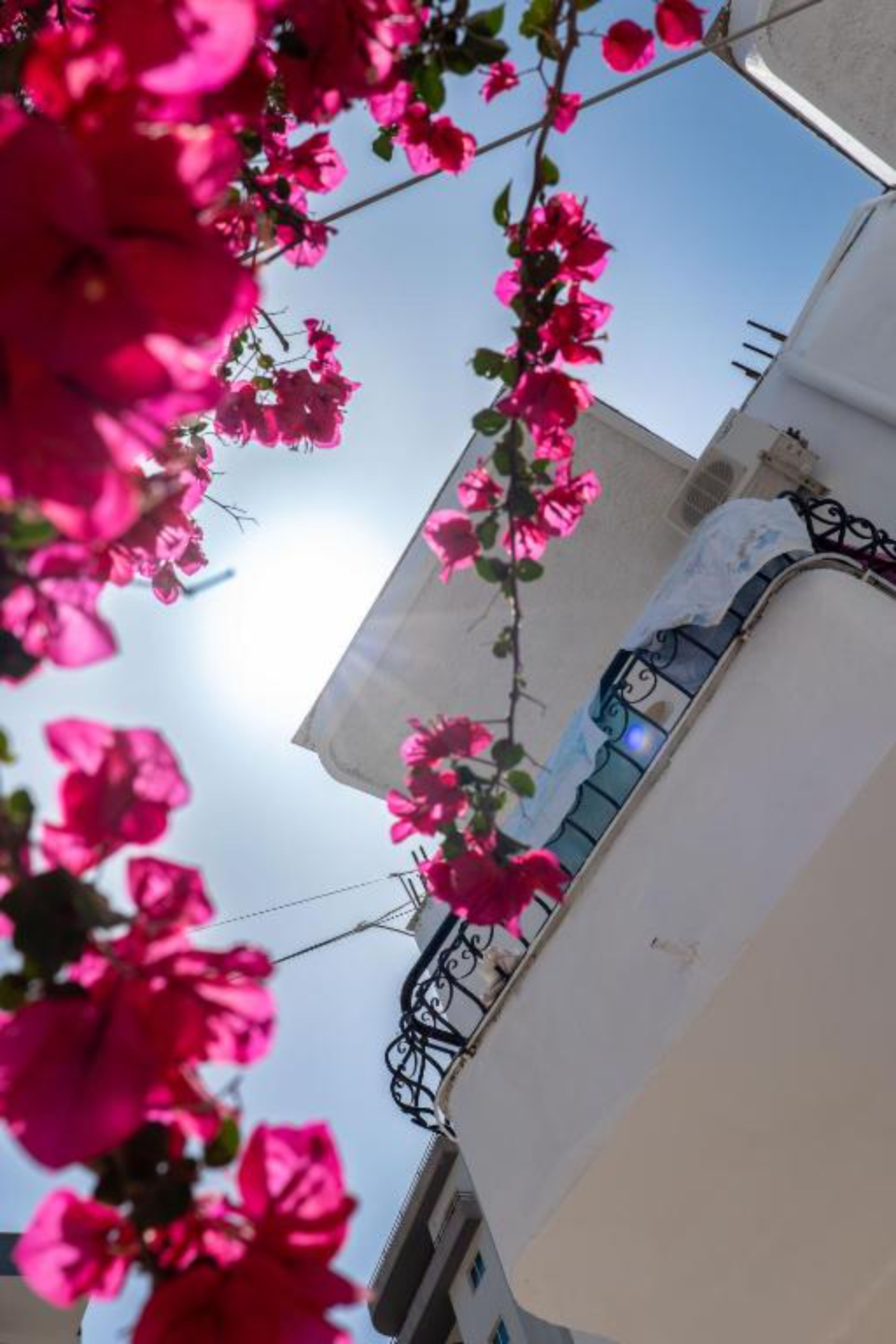 Summer Suite Hotel - nuotrauka