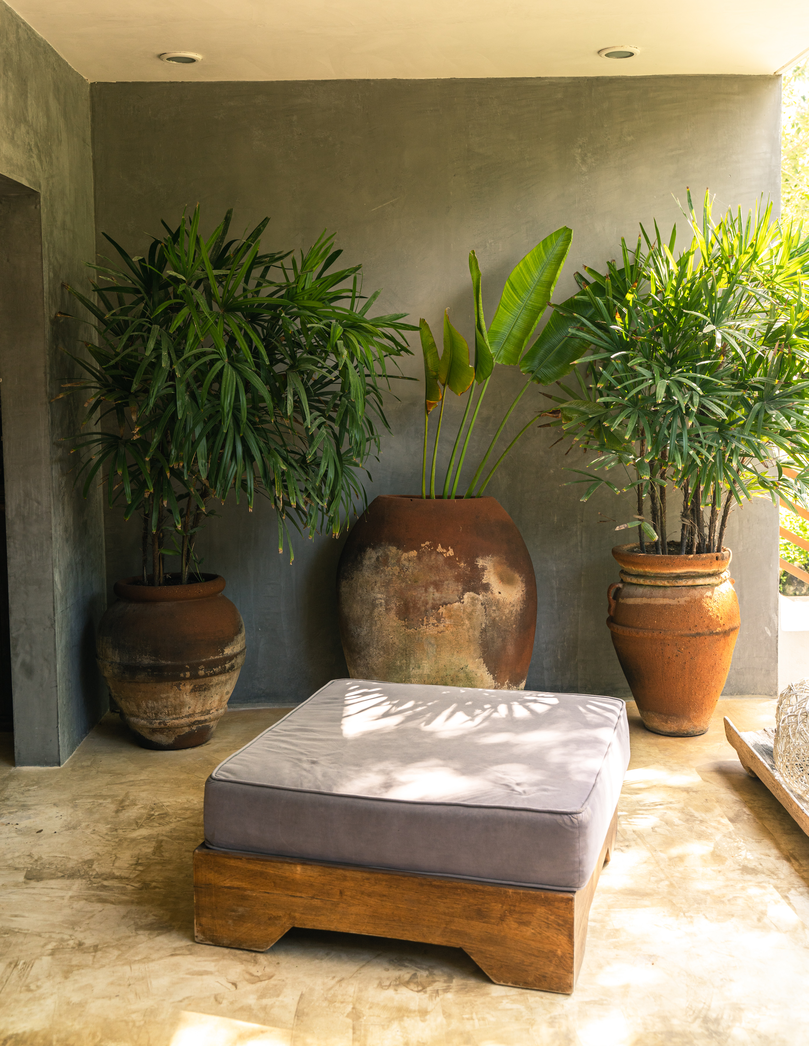 Panacea Condo Tulum - фото