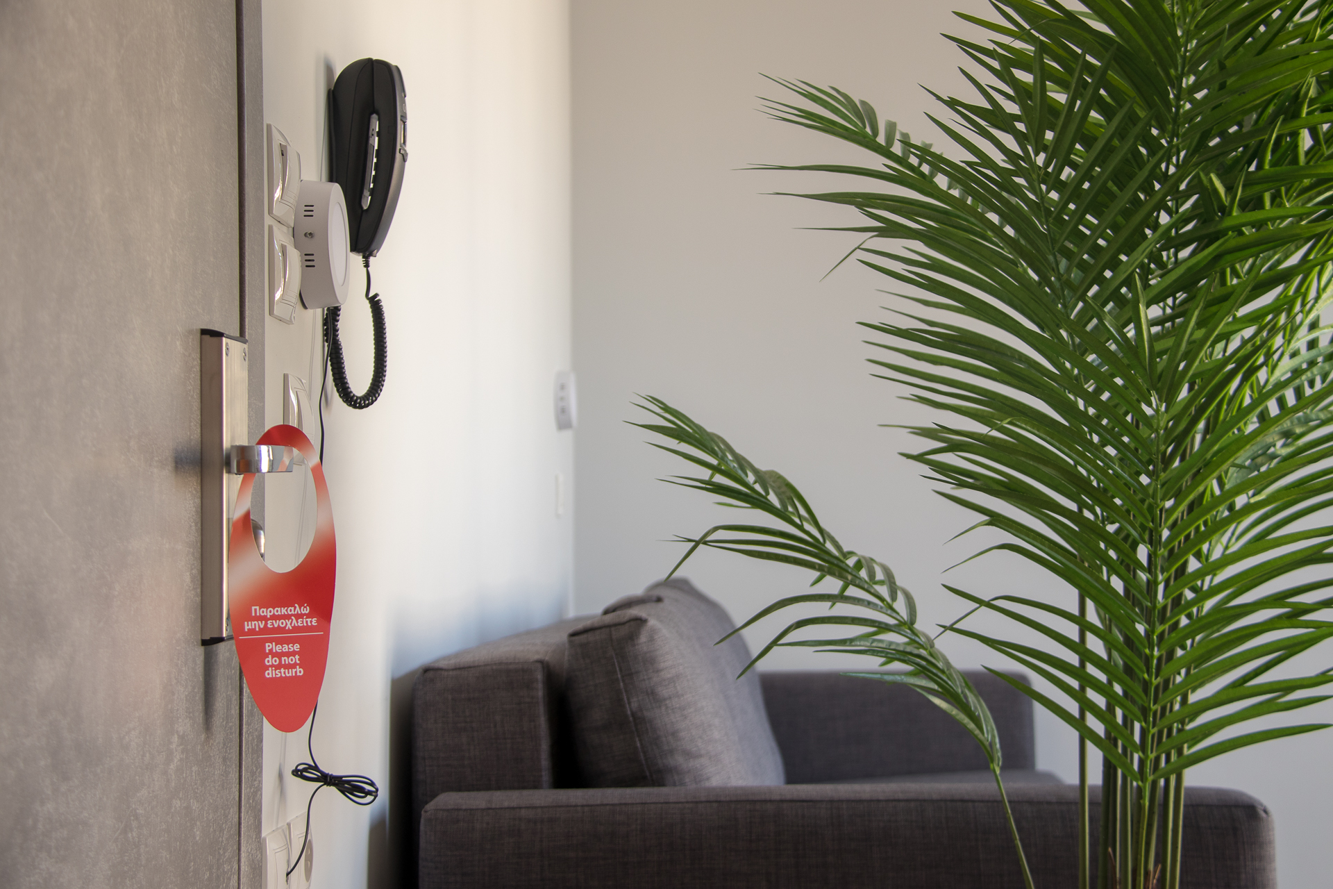 Athens Hawks Hostel by null
