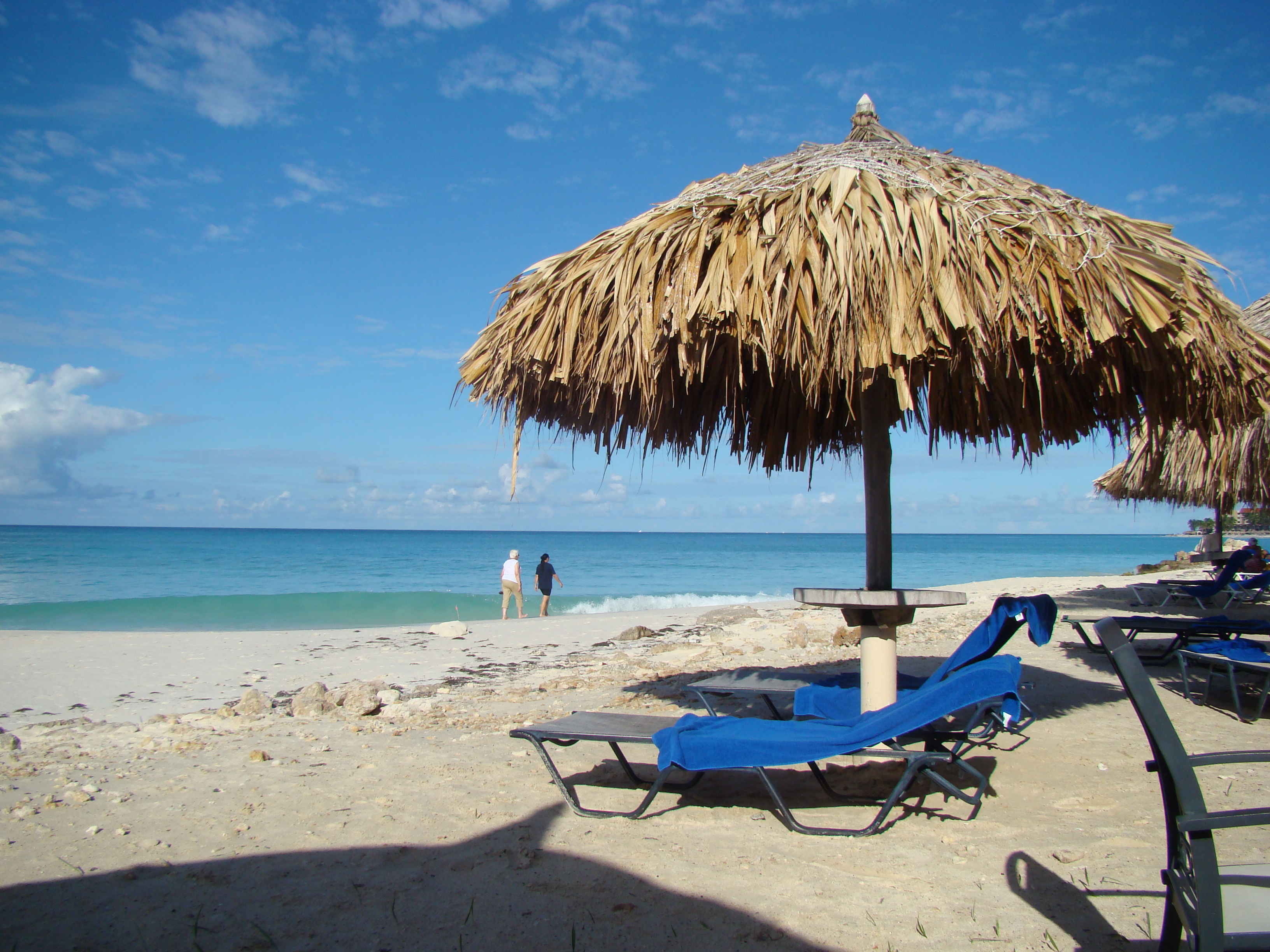 Palmita Hotel Hostel