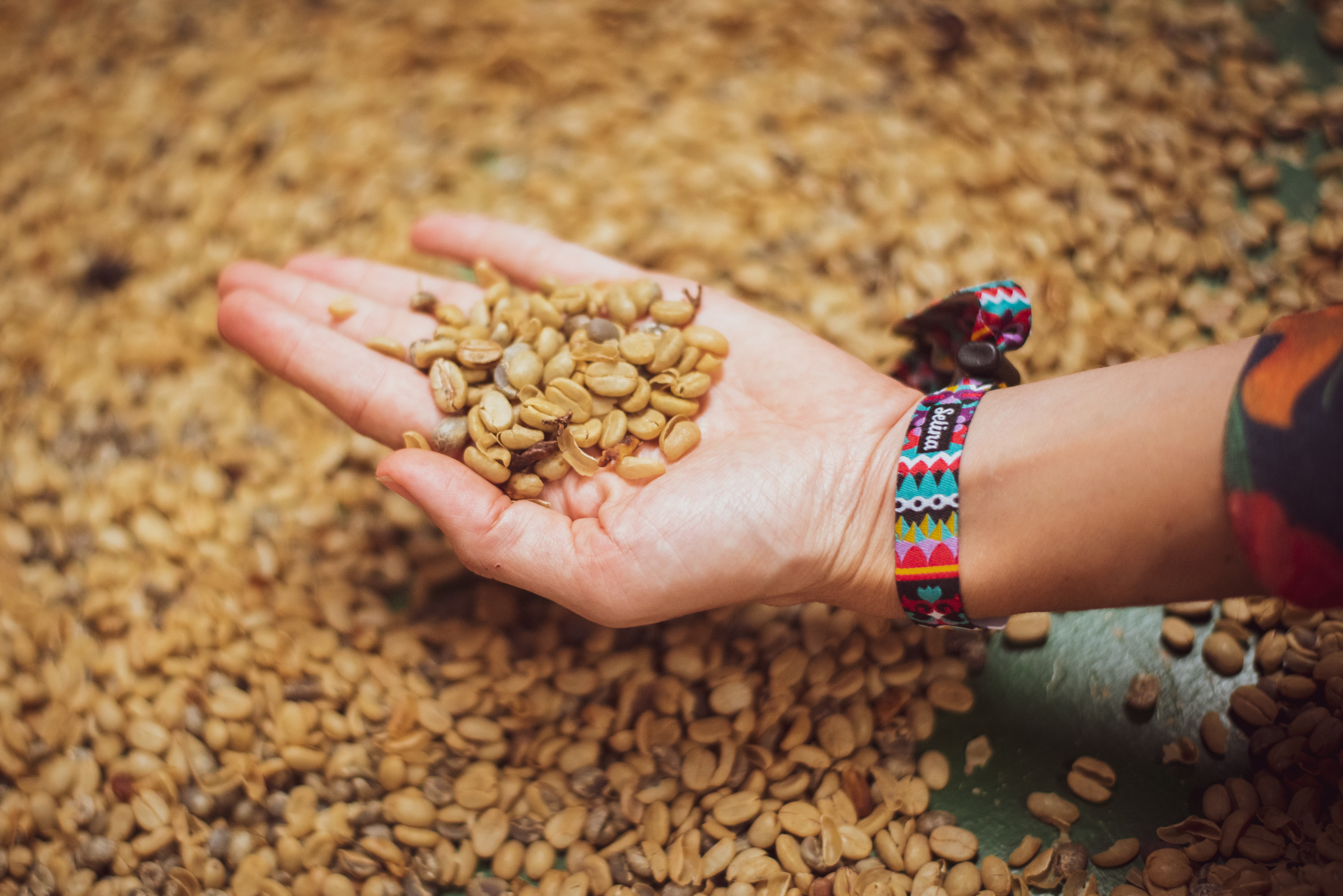 Socialtel San José by null