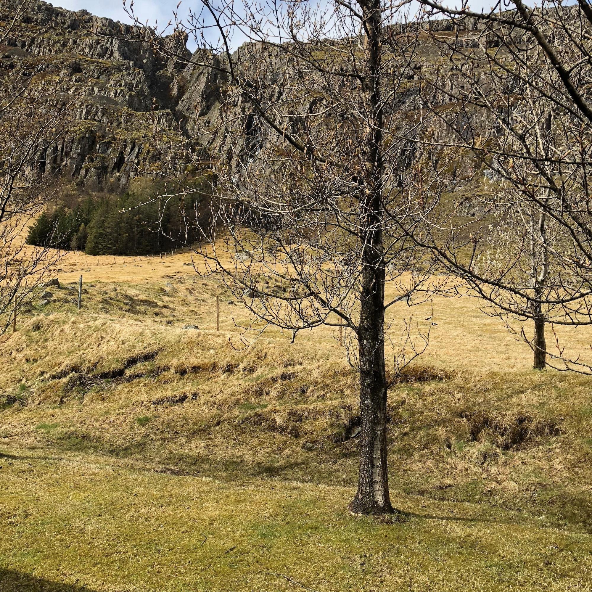 Guesthouse Skálafell by null