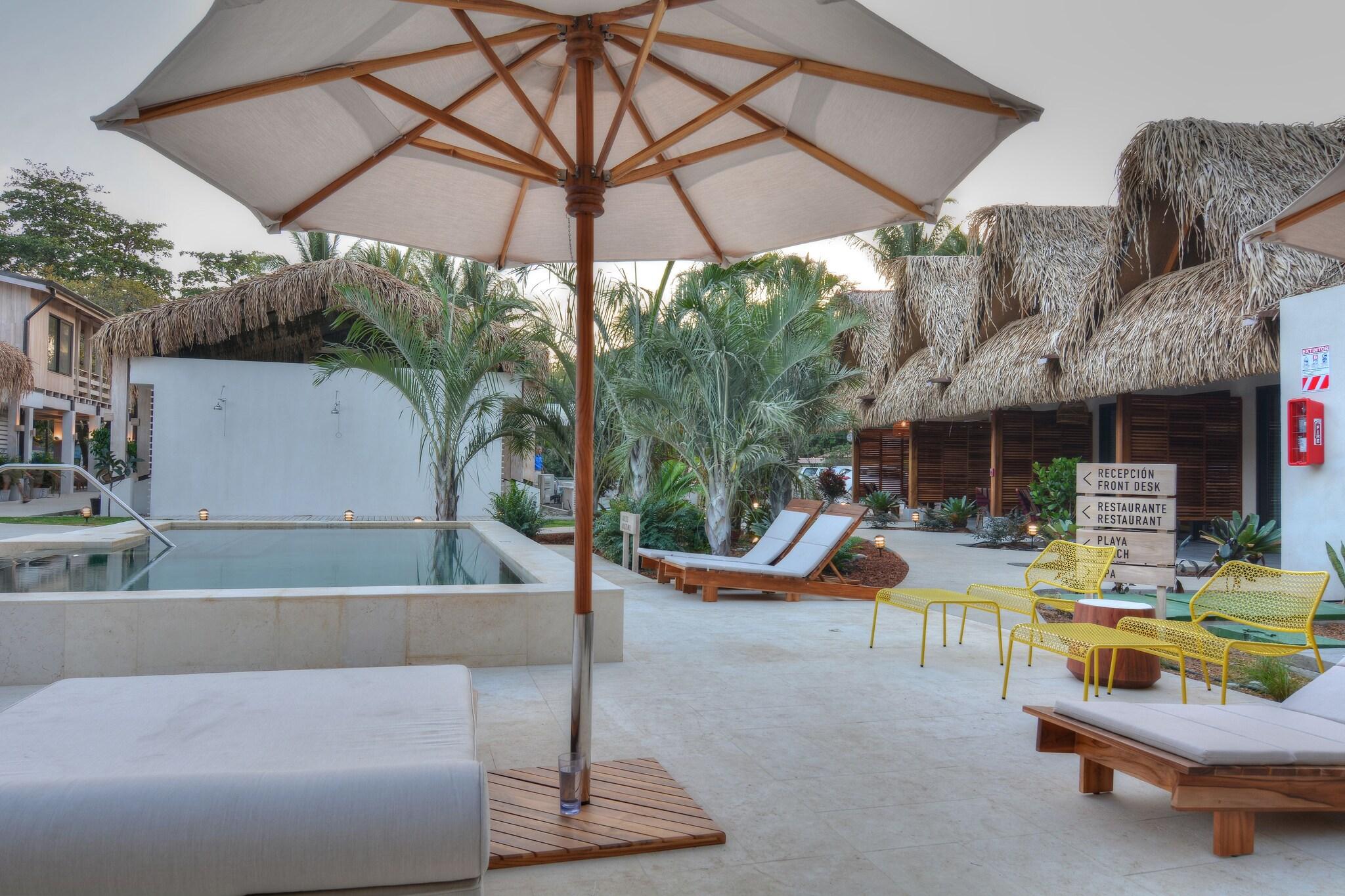 the gilded iguana surf hotel