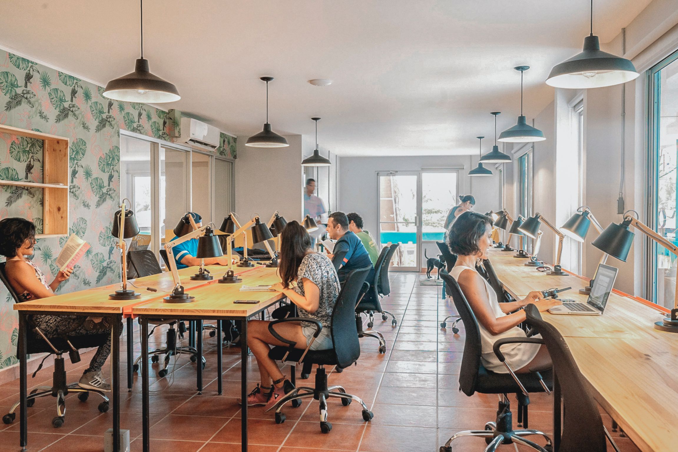 Socialtel Jaco by null