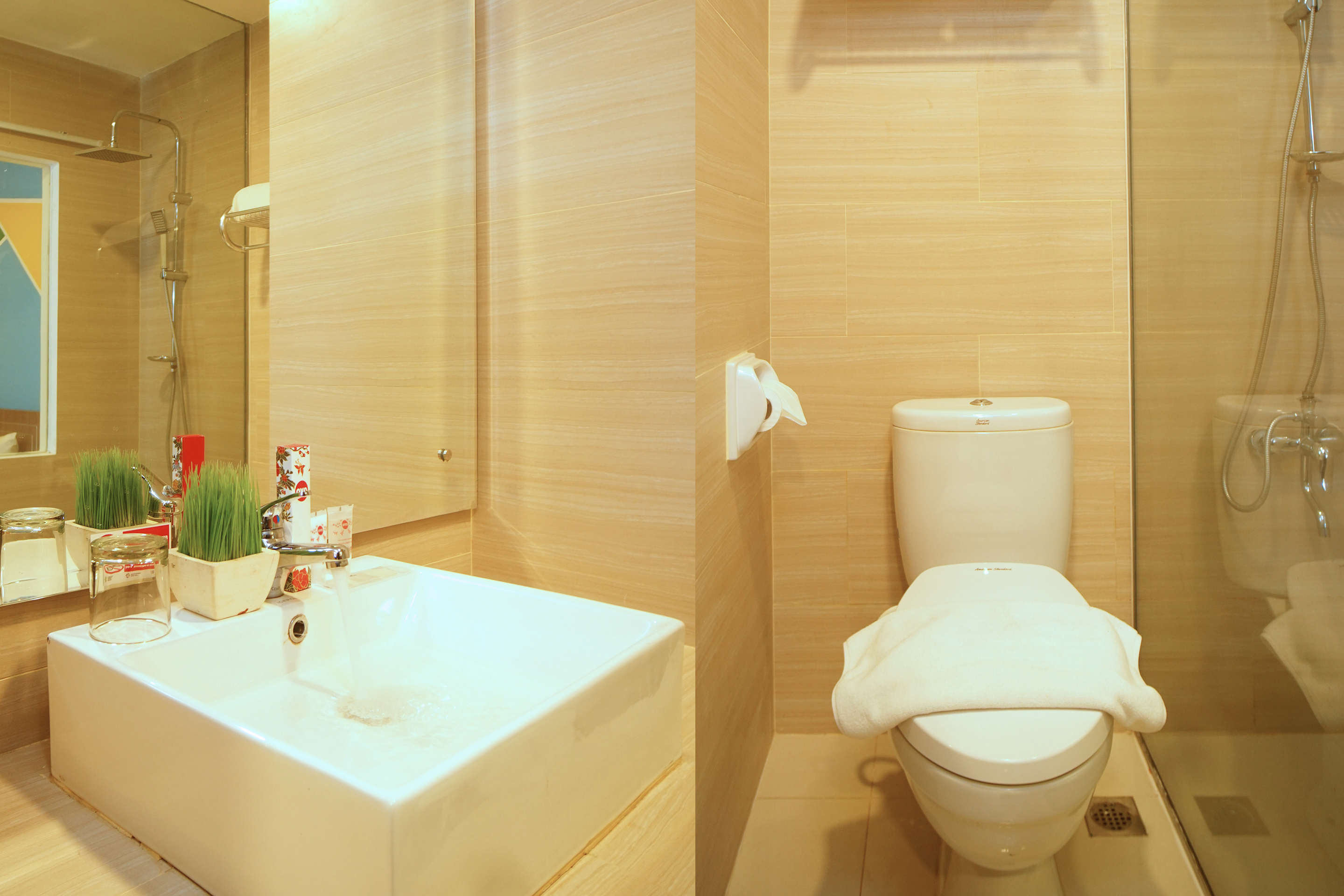 Super OYO Collection O 166 Hotel Princess