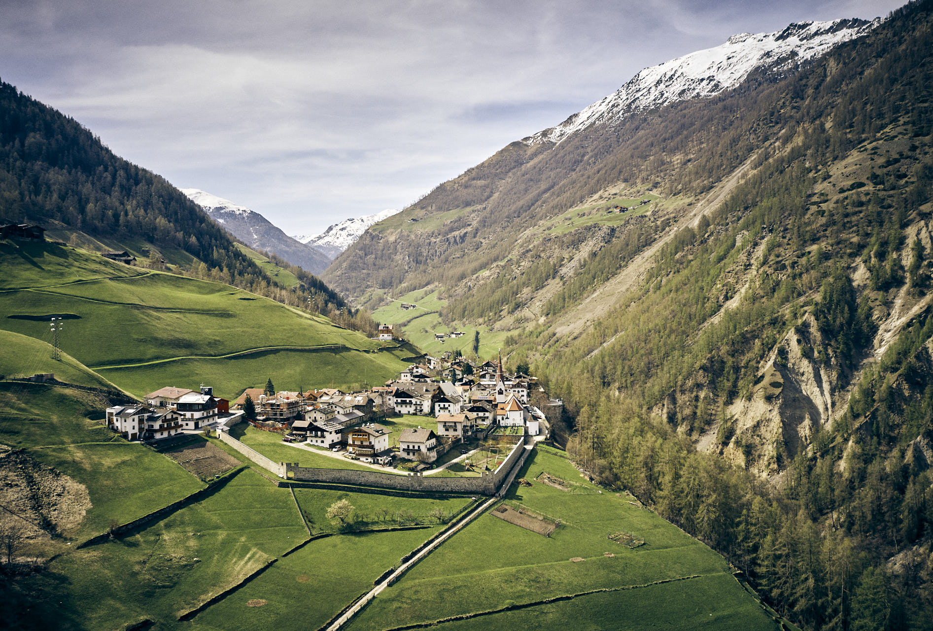 Goldene Rose Karthaus by null