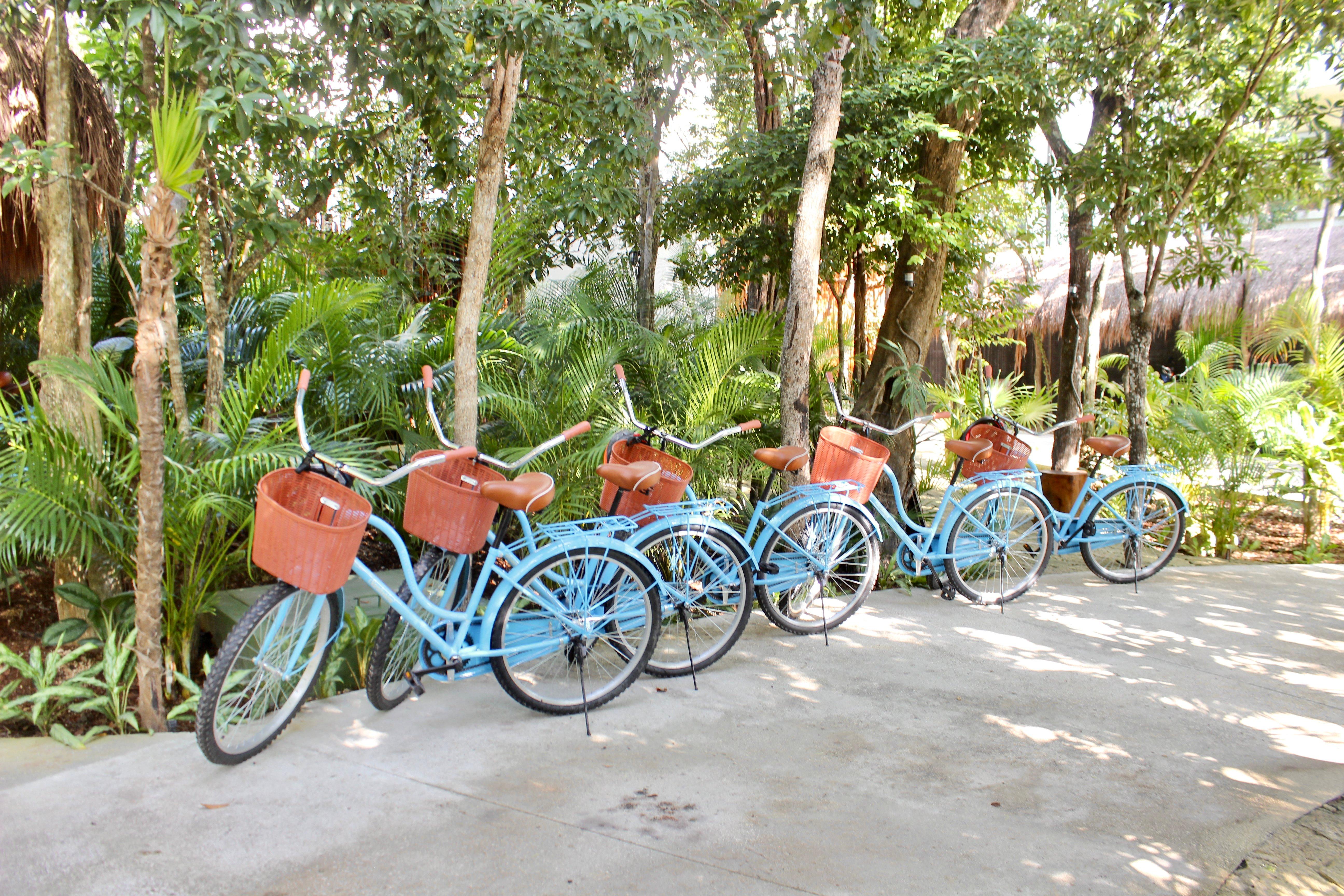 Aluna Resort Tulum