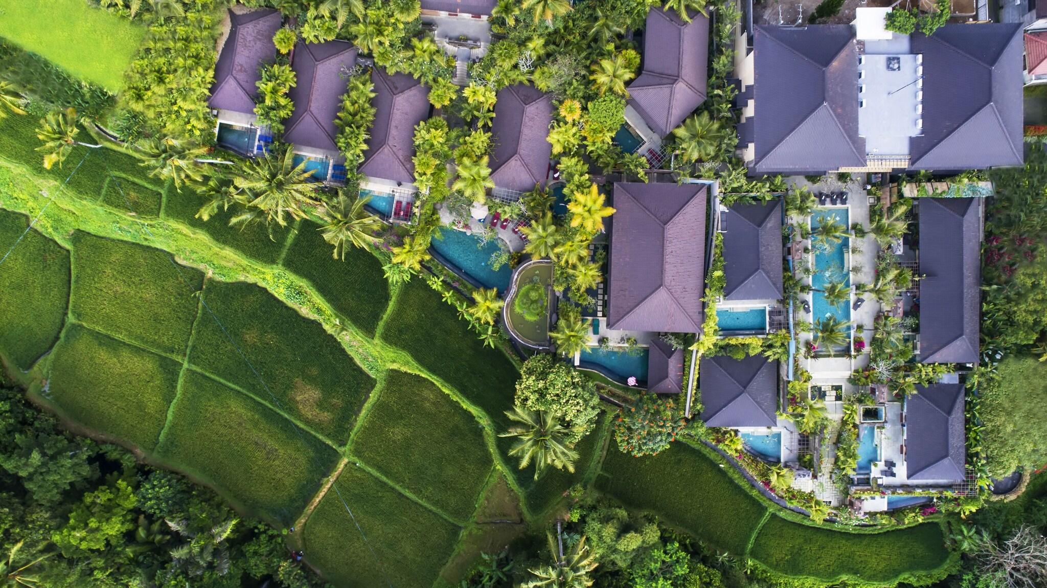 Dwaraka The Royal Villas - nuotrauka