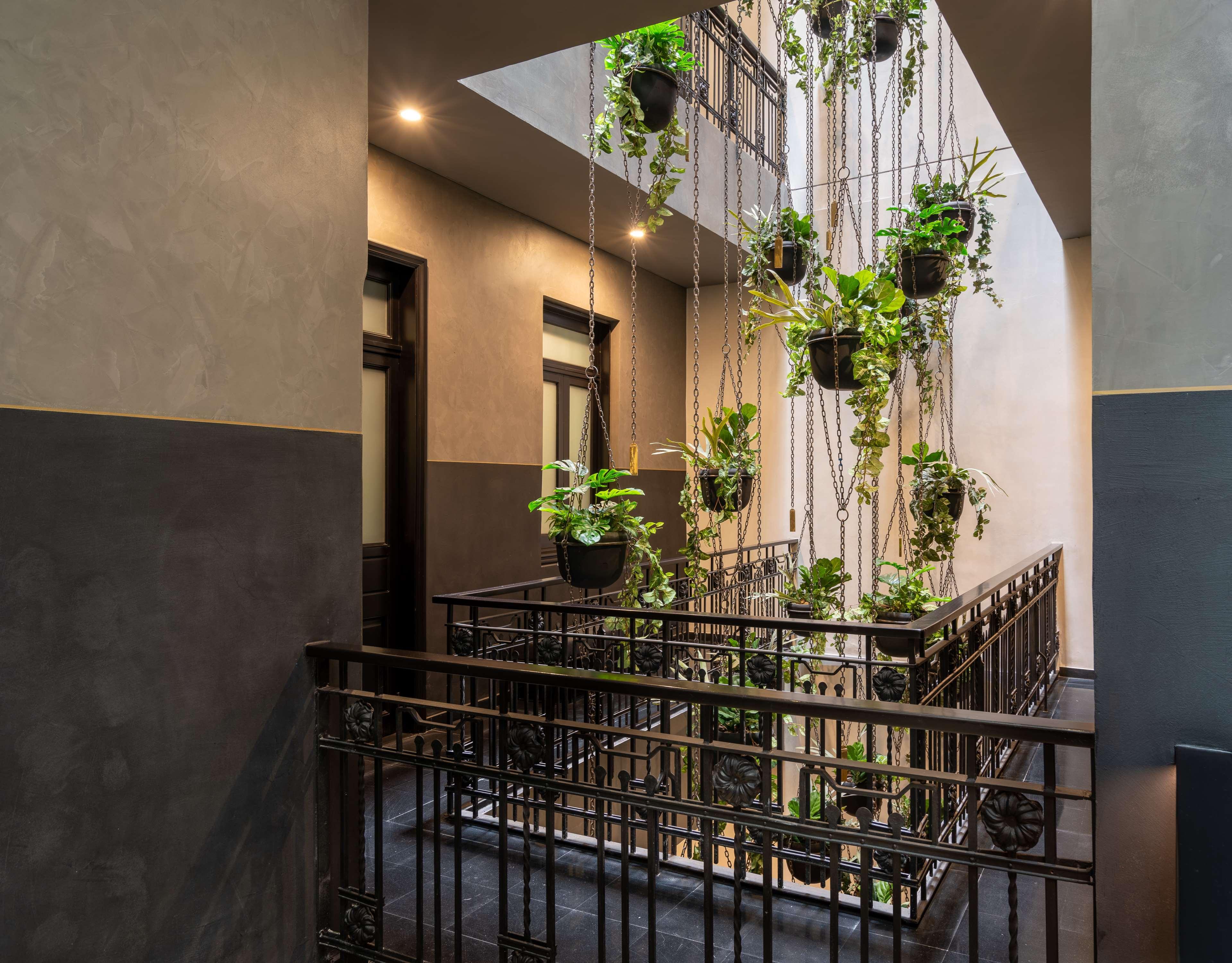Umbral, Curio Collection By Hilton